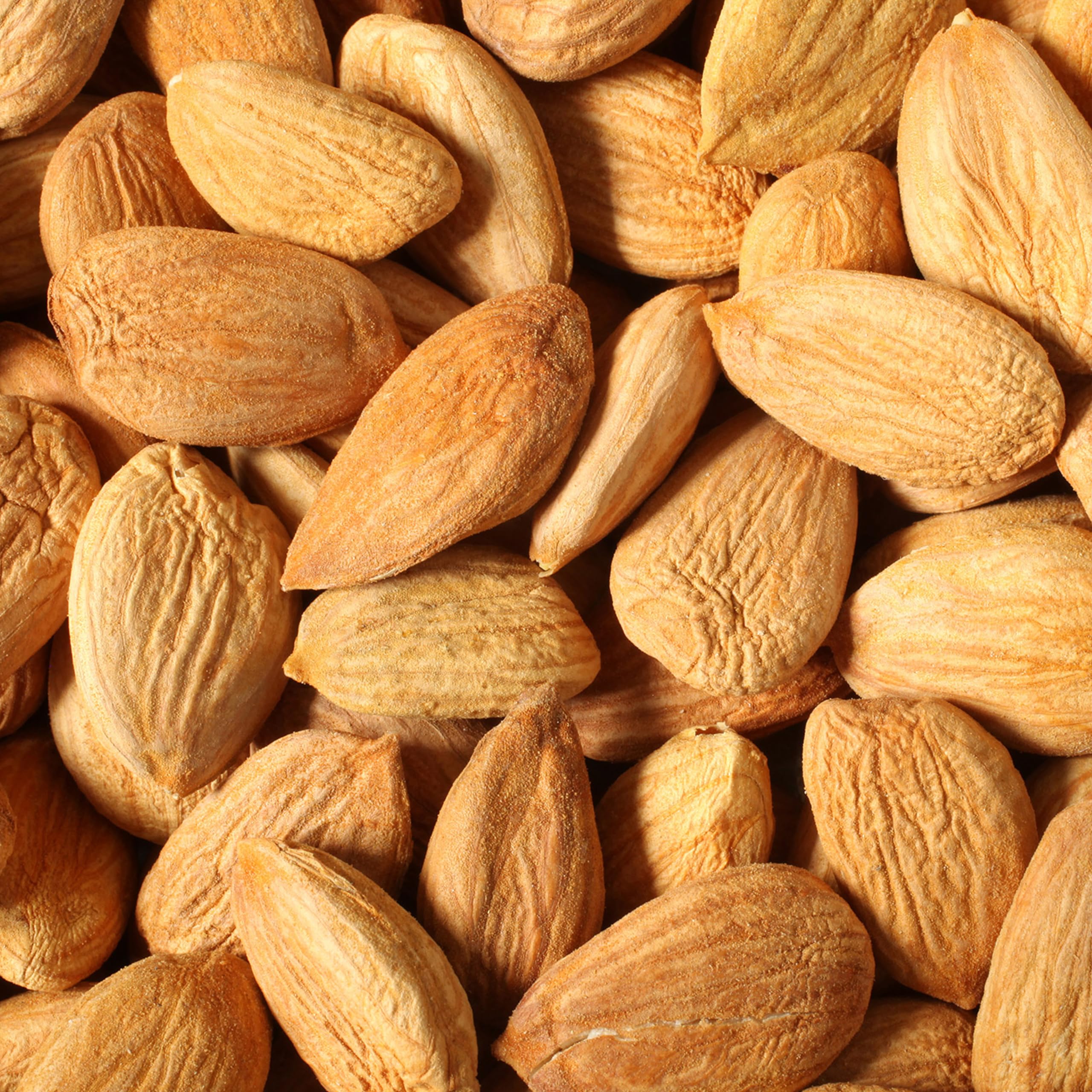 Ayursana Bittere Aprikosenkerne 3x500 g Bio-Qualität Saatgut | 3x500 g bittere Aprikosenkerne, hoher Amygdalin-Anteil, schadstoffgeprüft im deutschen Labor, Bio-Qualität