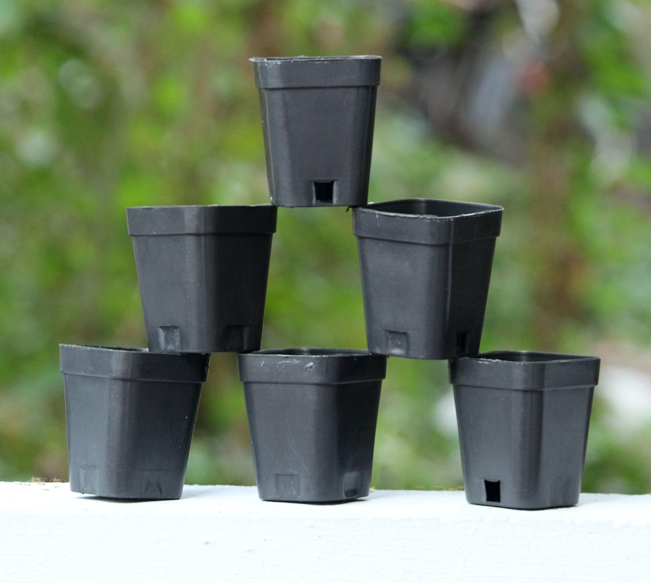 Novicz Plant Pot (Black, Pack of 6)