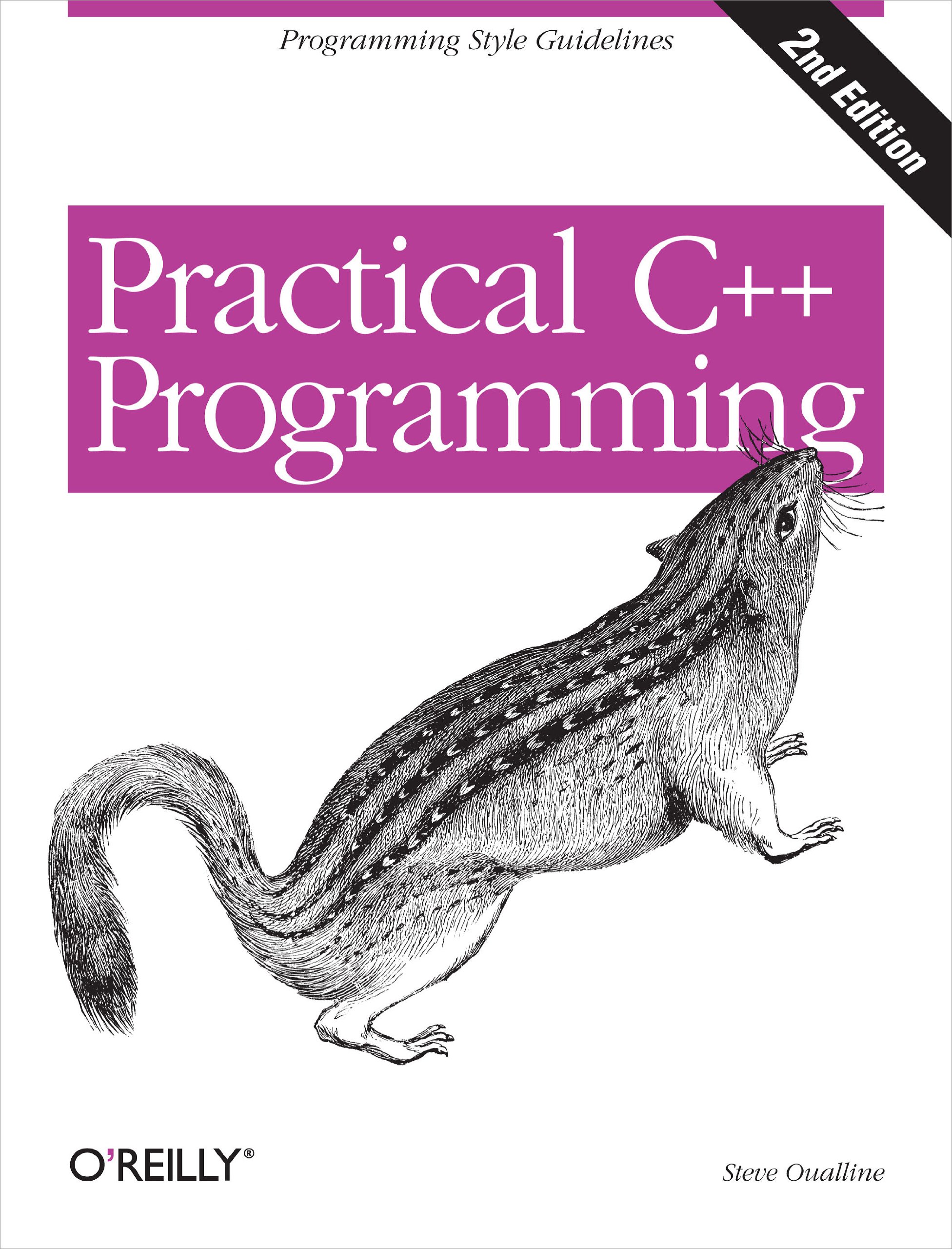 Practical C++ Programming: Programming Style Guidelines (English Edition)