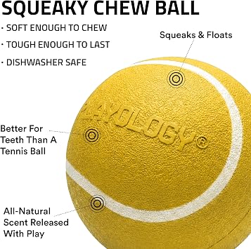 Playology Squeaky Chew Ball Dog Toy - Jumbo, Apple Cider Scent