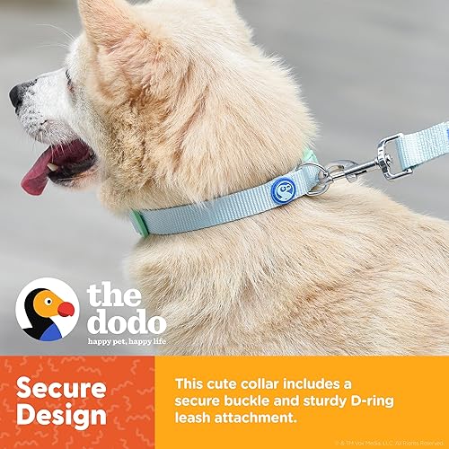 Miniatura 4 de The Dodo Juego de collar y correa de nailon azul y verde, pequeño bonito juego de correa y collar a juego, juego de correa y collar impermeable para