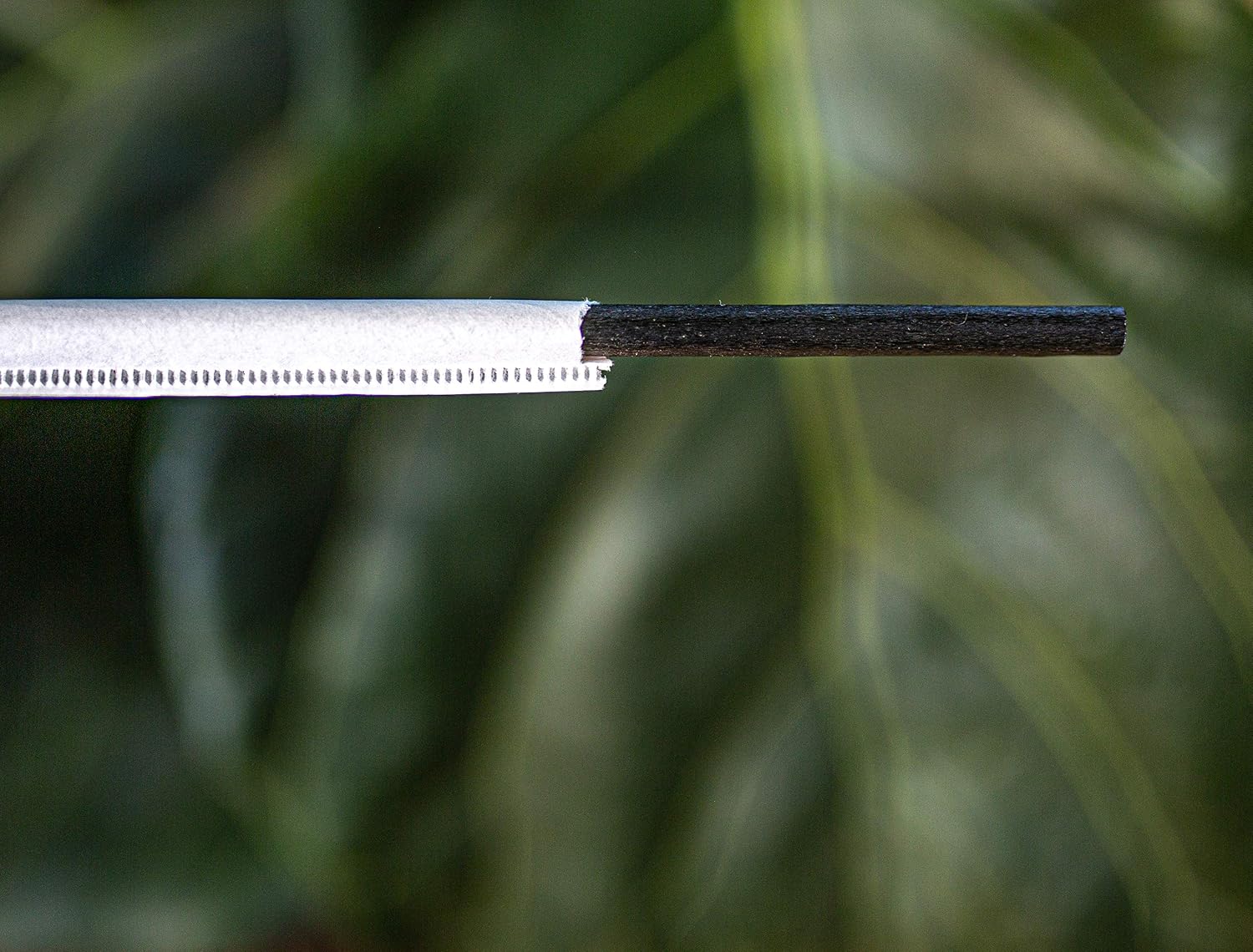 AGAVE FIBER STRAWS BLACK - 50ct Individually Wrapped Biodegradable 8.2" Straws by Ecoware. Plant Based, Eco-friendly, 100% Recyclable, Alternative to Paper & Plastic Straws.