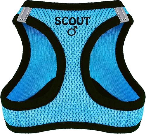 Brd Gifts Arnés bordado para perro, sin tirones, con nombre del perro, 5 fuentes, 7 iconos, arnés tipo chaleco de malla para perros pequeños y