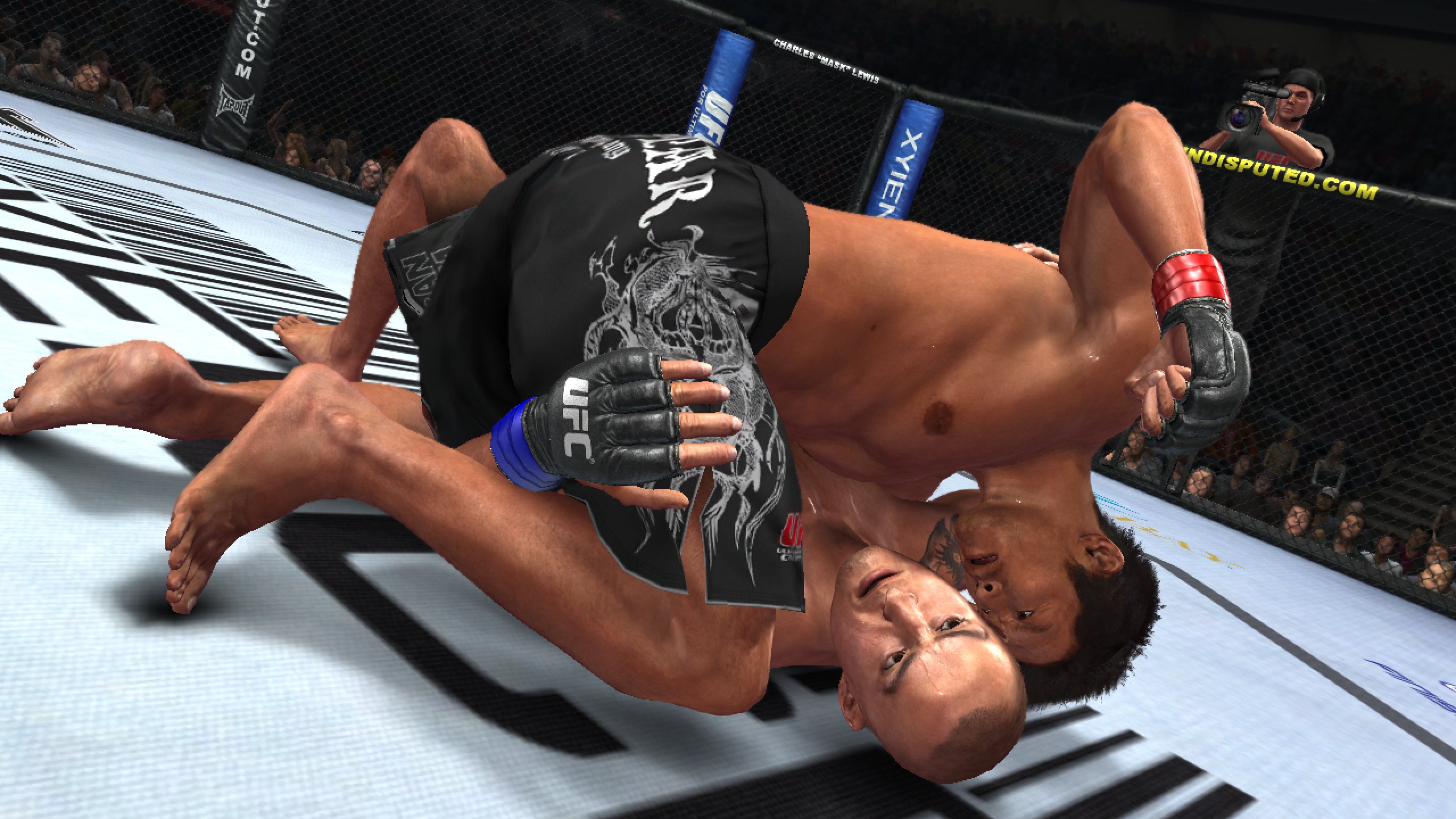 THQ UFC Undisputed 2010