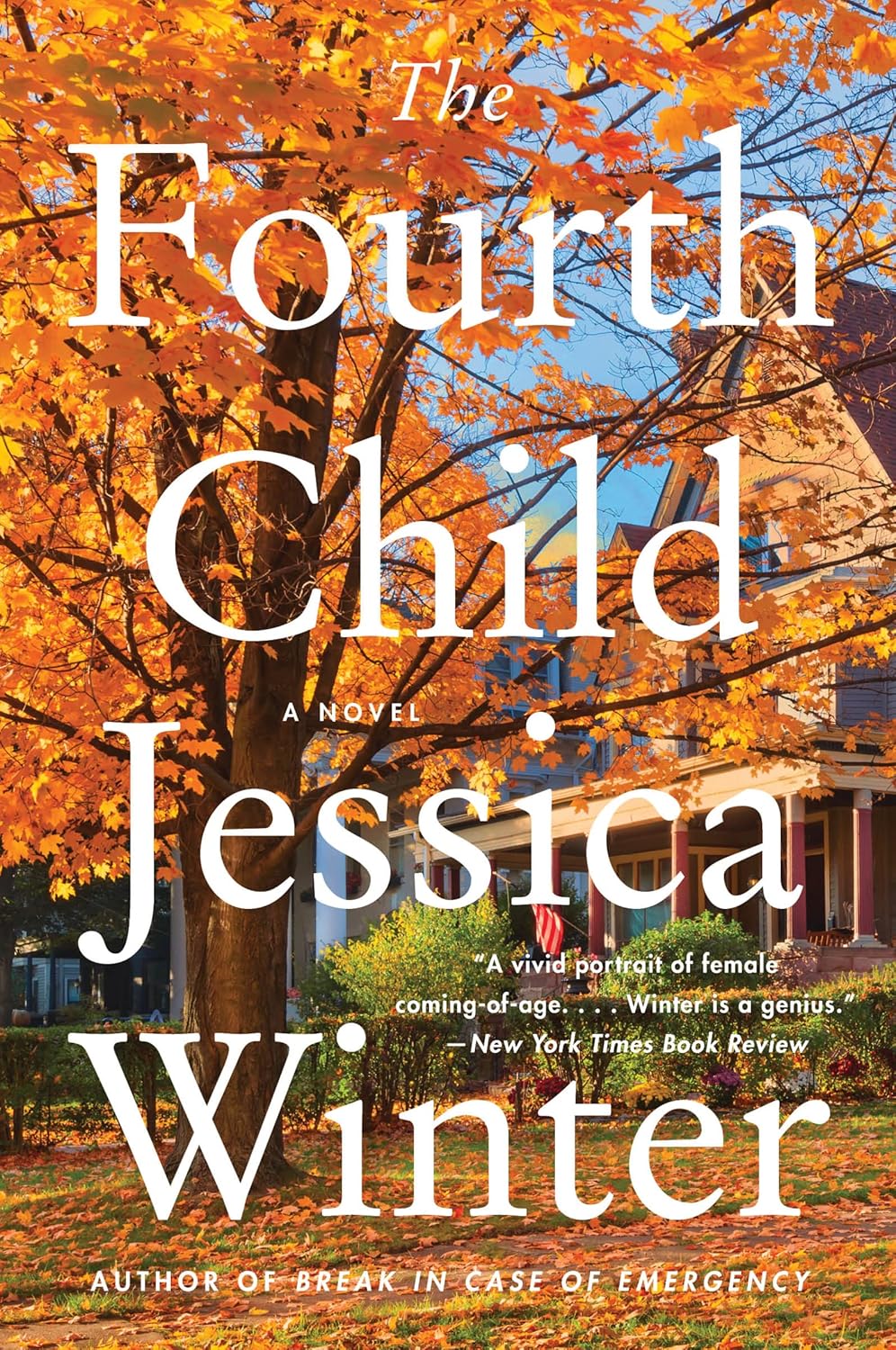 The Fourth Child: A Piercing Family Drama of Faith, Motherhood, and How Love Can Shatter or Strengthen      Kindle Edition