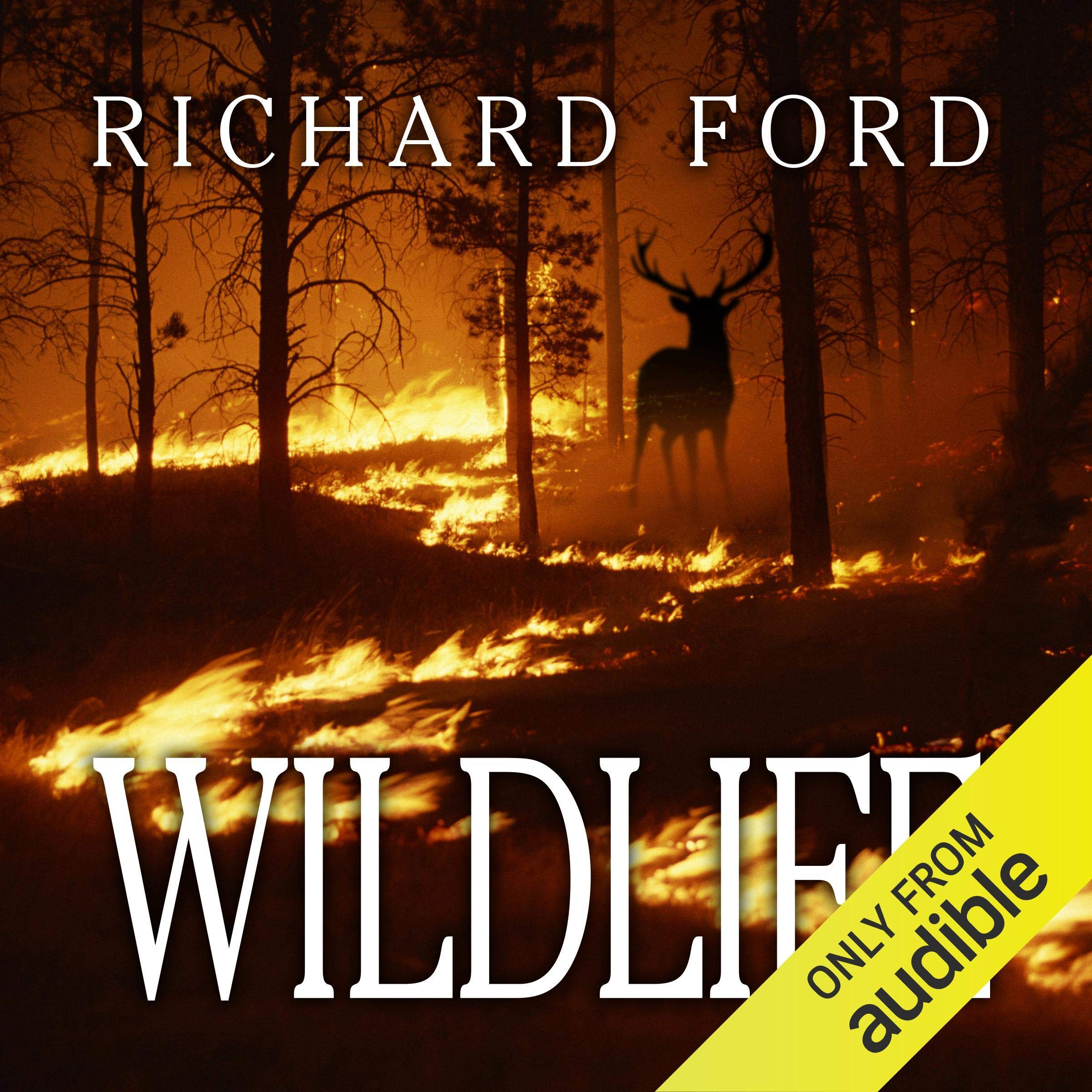 Cover art for Wildlife