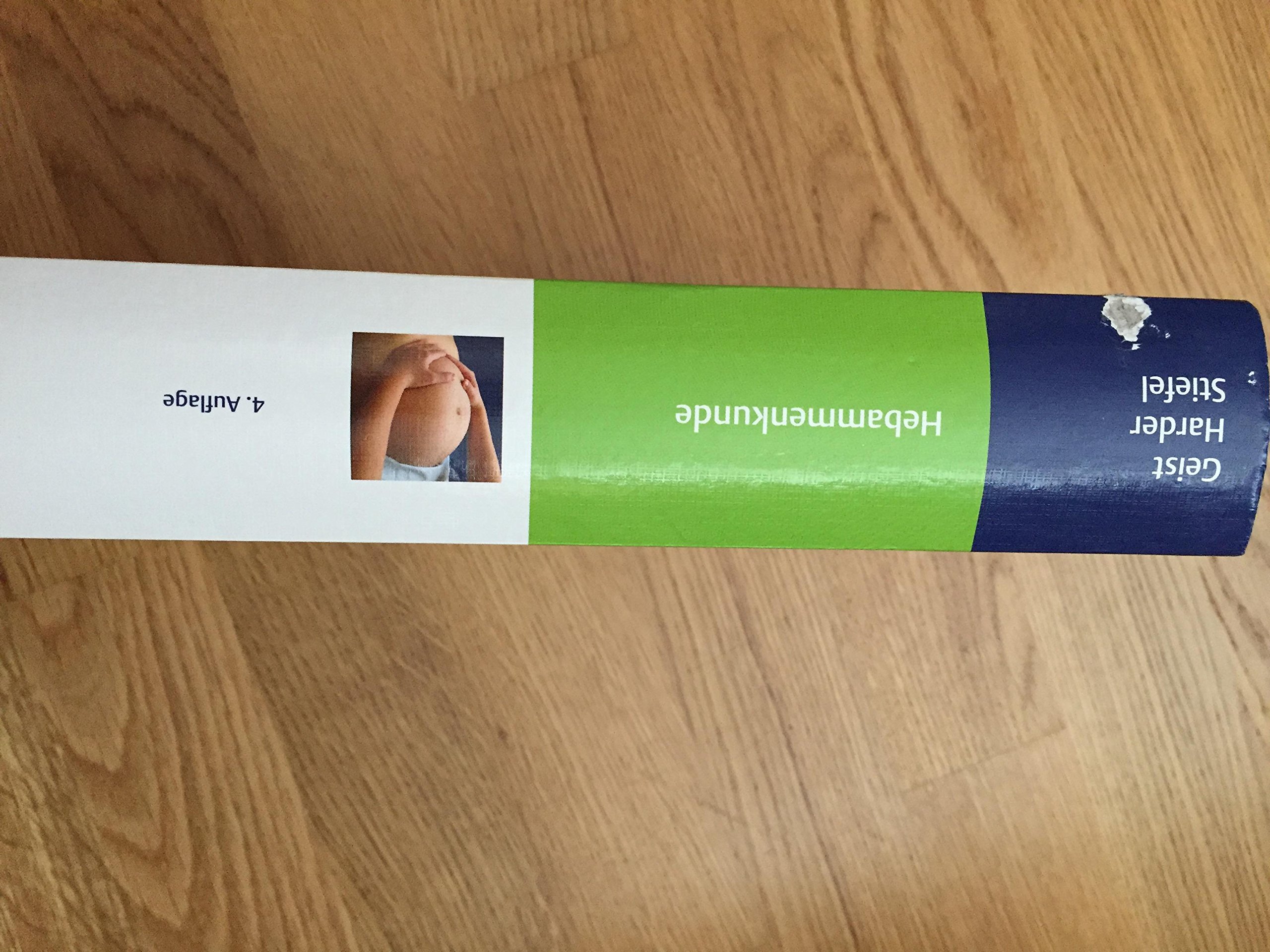 Hebammenkunde: Lehrbuch für Schwangerschaft, Geburt, Wochenbett und Beruf