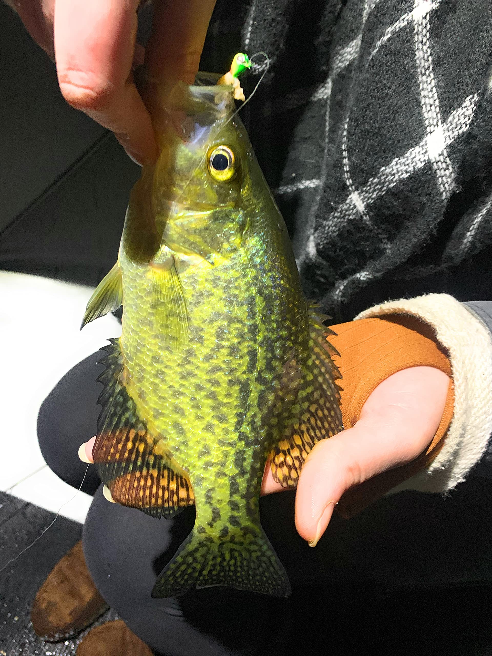 Rick’s Jigs 5mm Glow Tungsten Drop Jigs - Set Of 10 For Ice Fishing Panfish & Trout - View #11