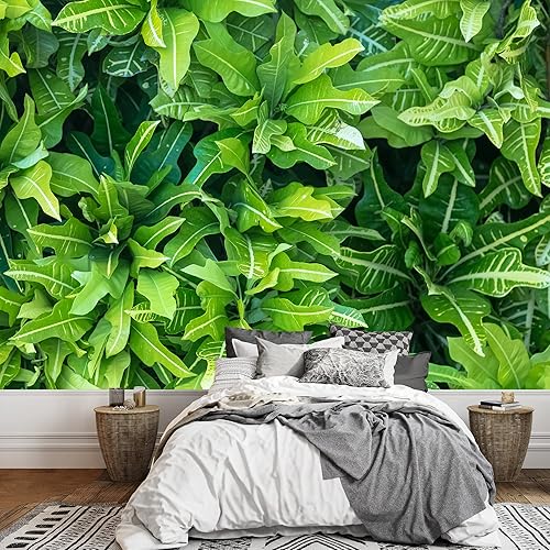 wall26 serie Wall Mural Papel de empapelar autoadhesivo, grande., WMR-WP-X-D984-66x24x4