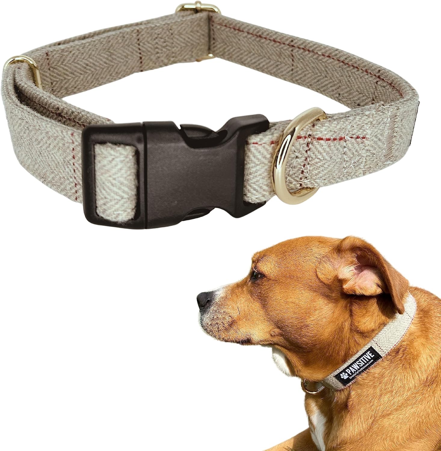 Pawsitive Wool Dog Collar Hypoallergenic Dog Collar
