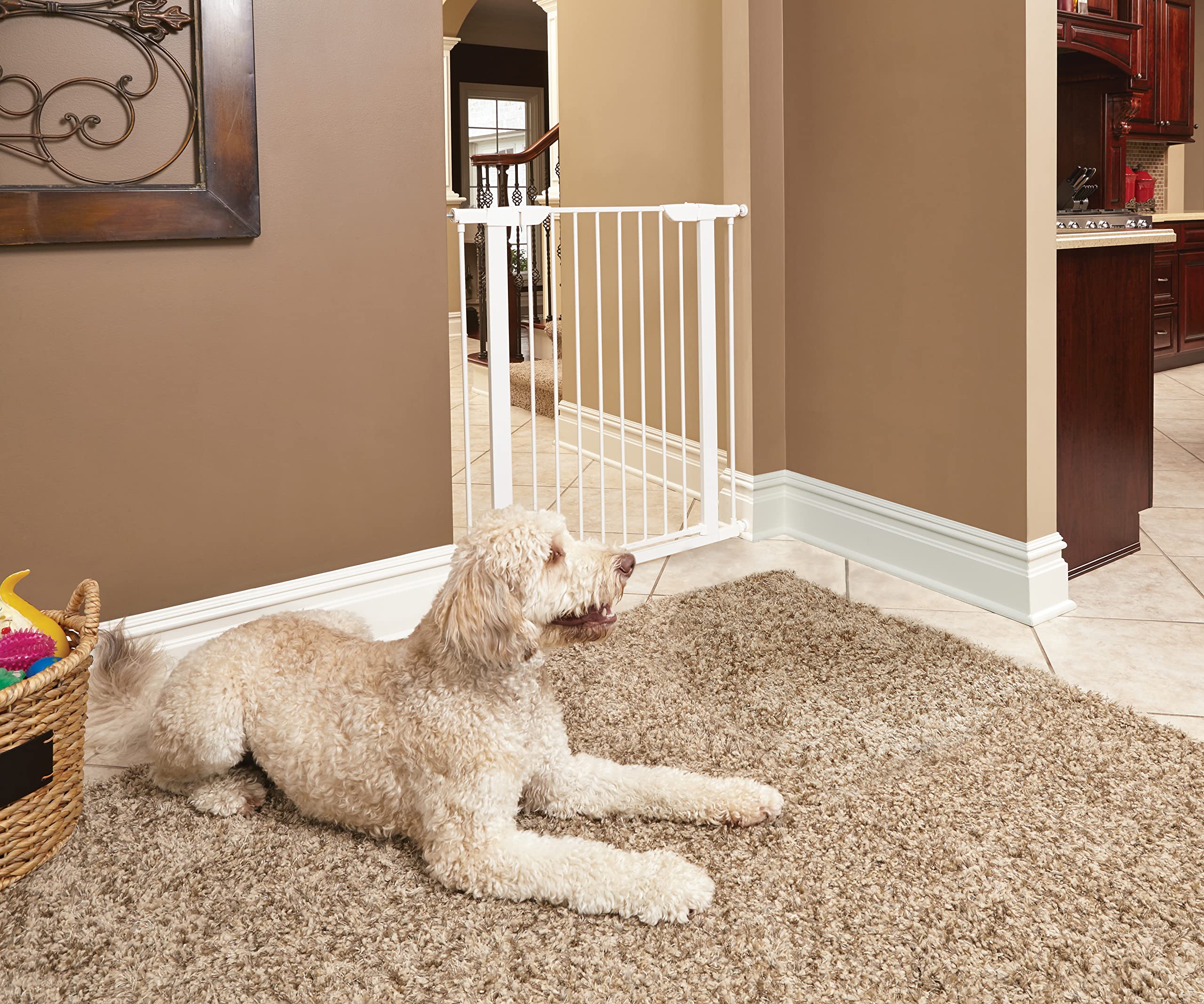 MidWest Homes for Pets - Cancello per animali domestici, altezza 99,4 cm, in acciaio bianco, si espande fino a 96,5 cm di larghezza, include estensioni di 7,6 cm