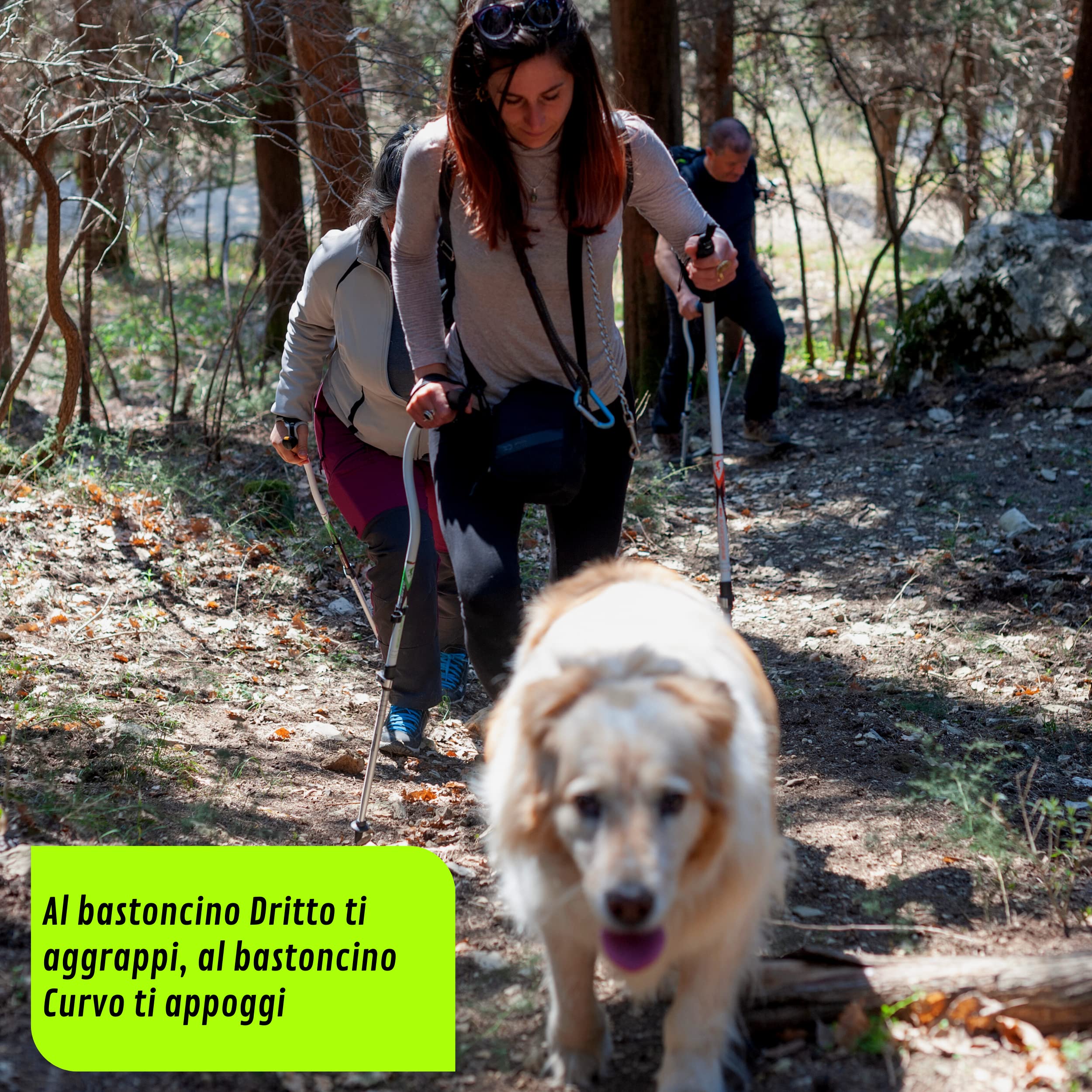 Ergocurve 900 Urban Bâtons pour activités Fitness, rééducation Fonctionnelle et de contrôle du Poids Repliable en 3 étapes