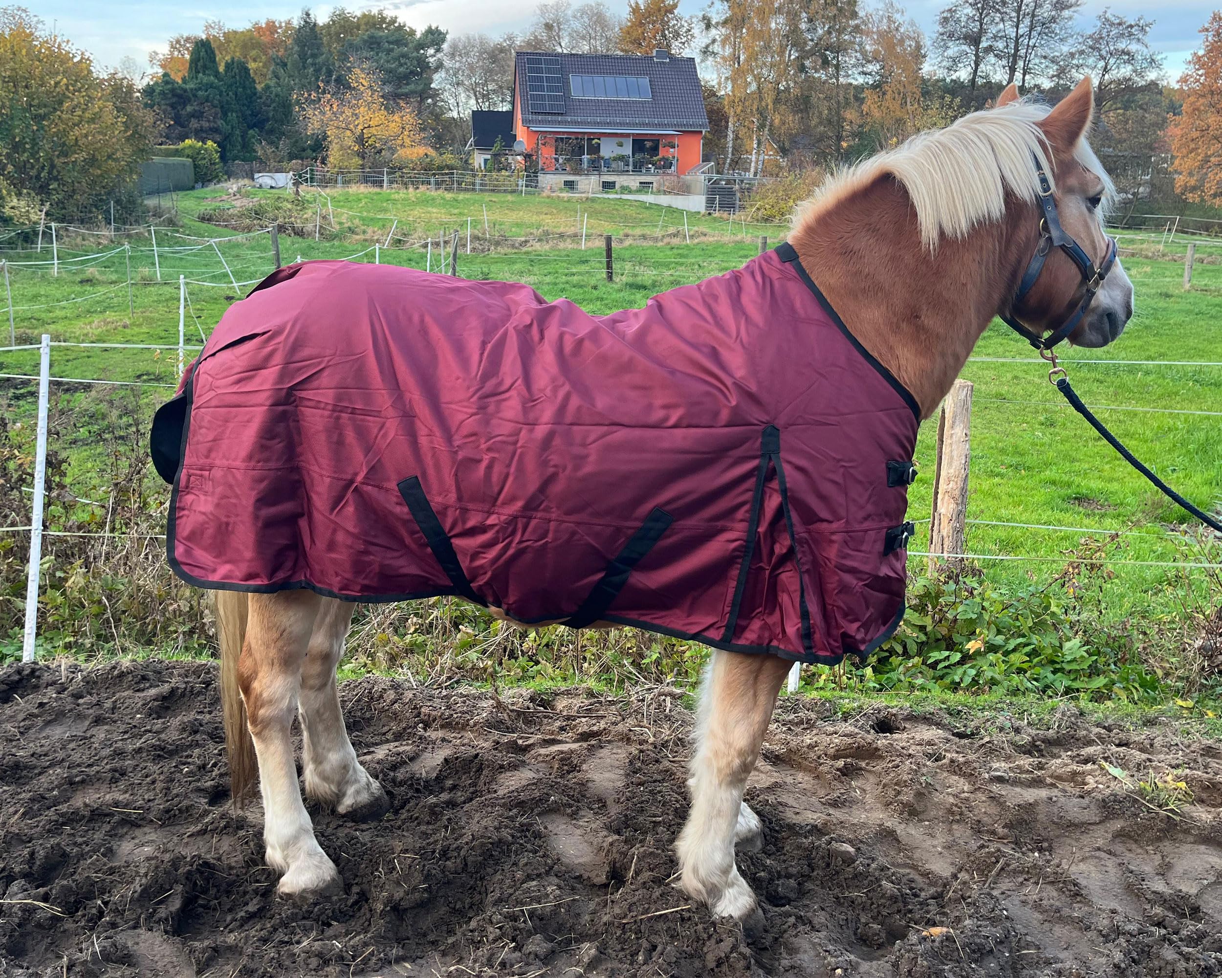 Brama-West Winterdecke Pferd Red Winter | Outdoordecke 1680D - 200g | wasserdichte Pferdedecke | Weinrot (145)