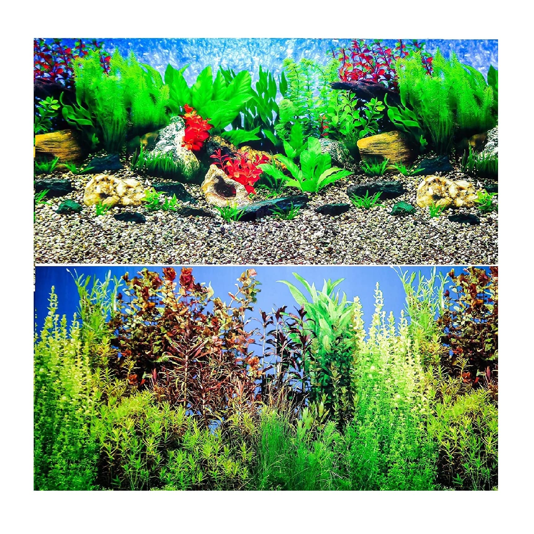 Aquarium Background Double Sided for Fish Tanks, 50cm (20") High