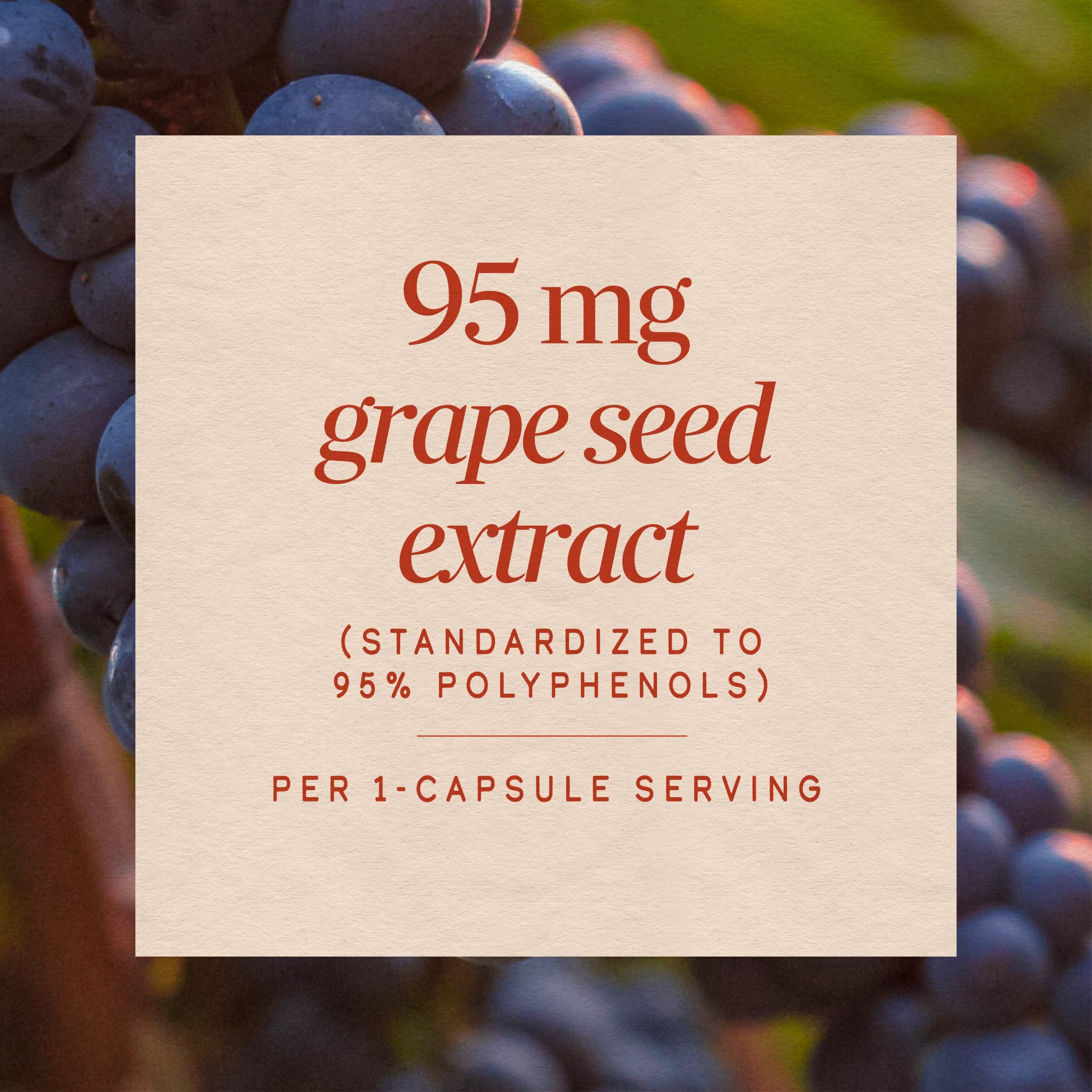 Nature's Way Grape Seed Extract, Antioxidant Support*, Polyphenols