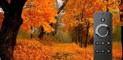 Cozy Early Morning Autumn Sounds | Crunchy Leaves & Peaceful Fall Music
