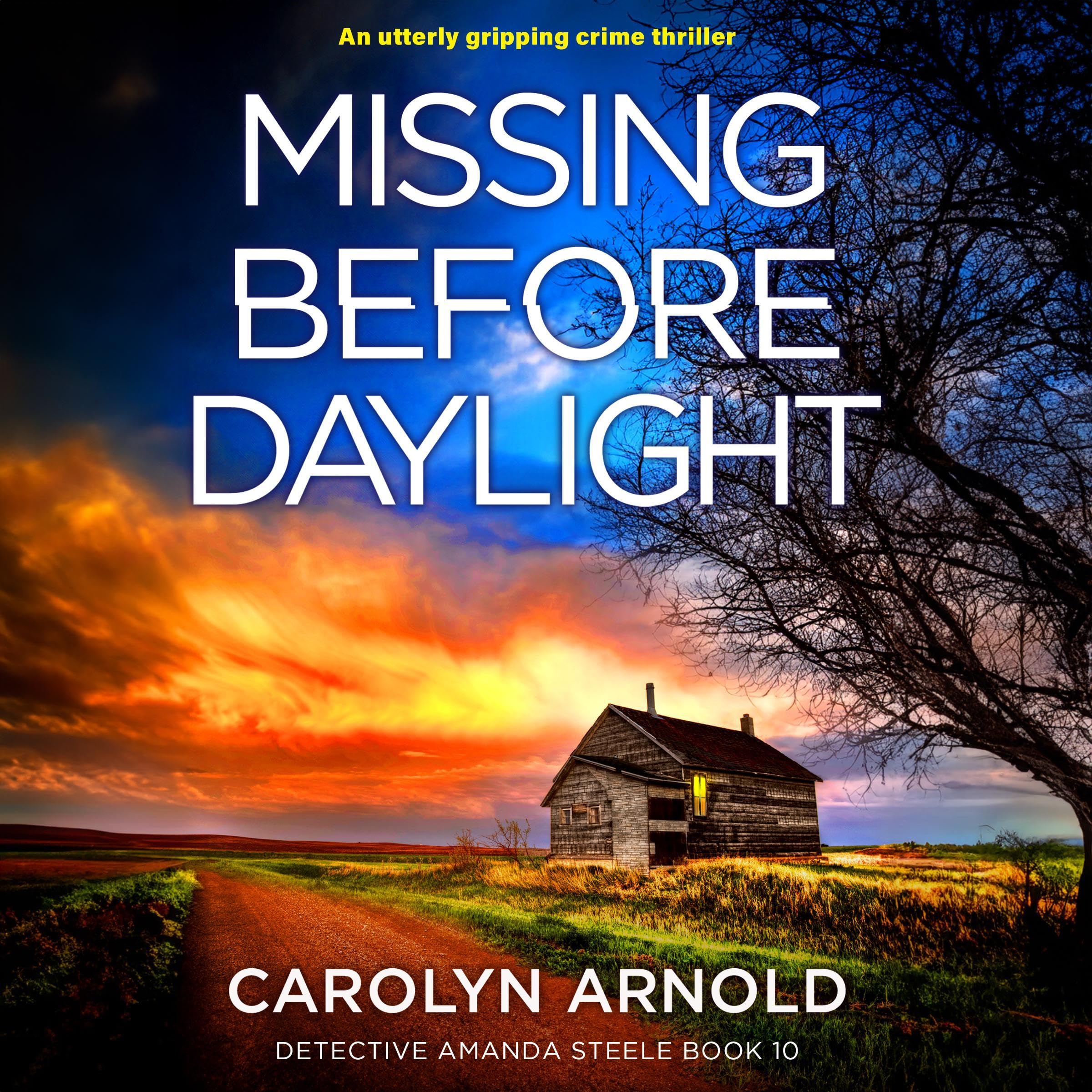 Cover art for Missing Before Daylight