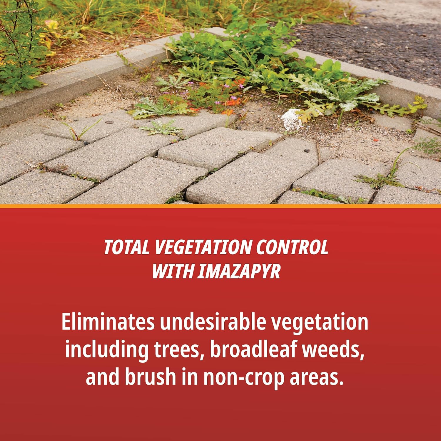 Control Solutions TVC Total Vegetation Control, Concentrate Herbicide - 32oz