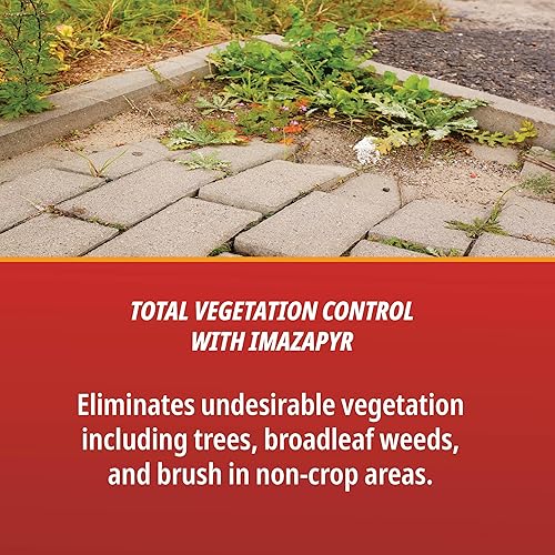 Miniatura 2 de Control Solutions 82004985 Herbicida concentrado, ámbar, 32 onzas