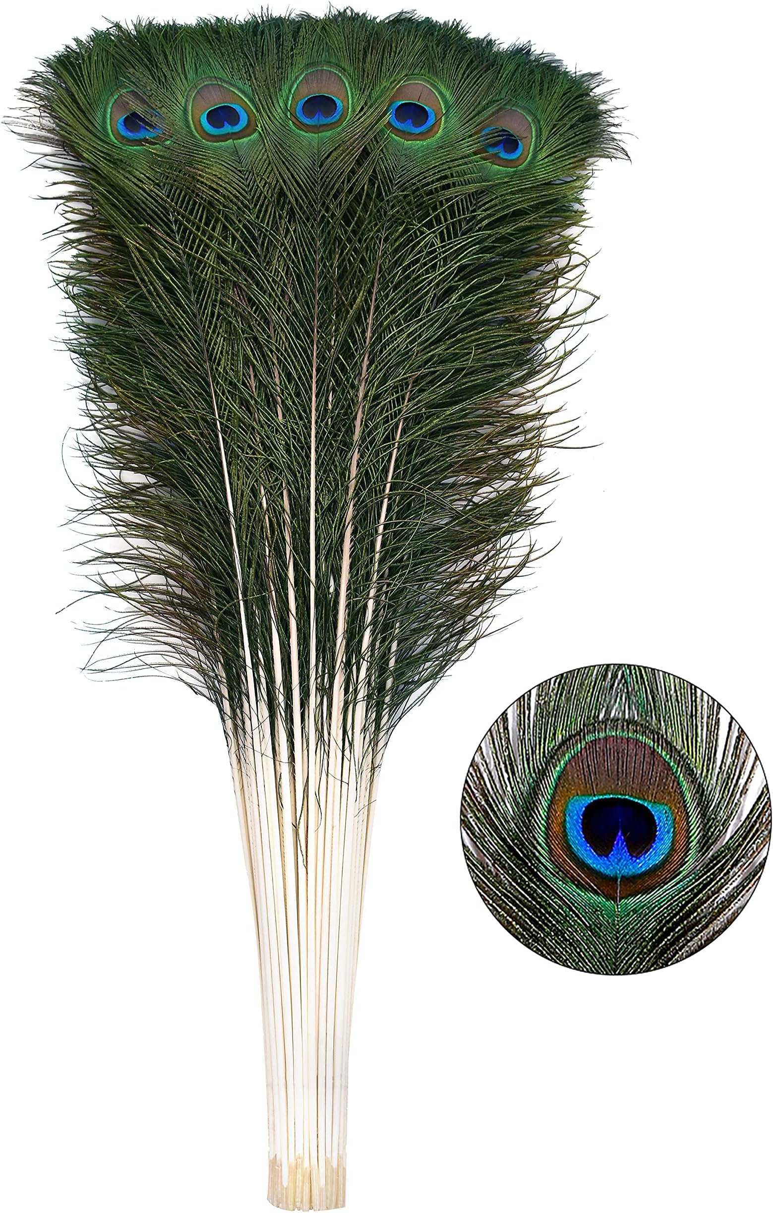 Ballinger 30pcs Natural Peacock Feathers Long Pole Bulk 32-35 inch for DIY Craft, Wedding Holiday Decorationn and Floral Arrangement