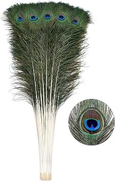 Ballinger 30pcs Natural Peacock Feathers Long Pole Bulk 32-35 inch for DIY Craft, Wedding Holiday Decorationn and Floral Arrangement
