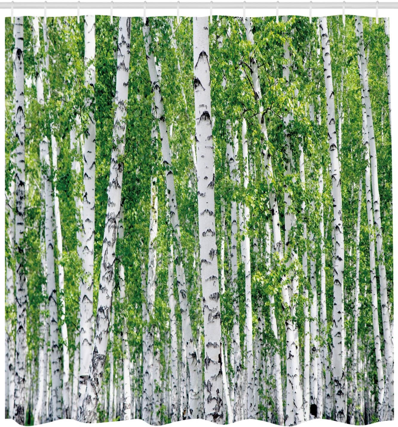 Ambesonne Birch Tree Shower Curtain, Fresh Green Leaves Summer Forest Rural Landscape Environmental Image, Cloth Fabric Bathroom Decor Set with Hooks, 69" W x 75" L, Green White Black