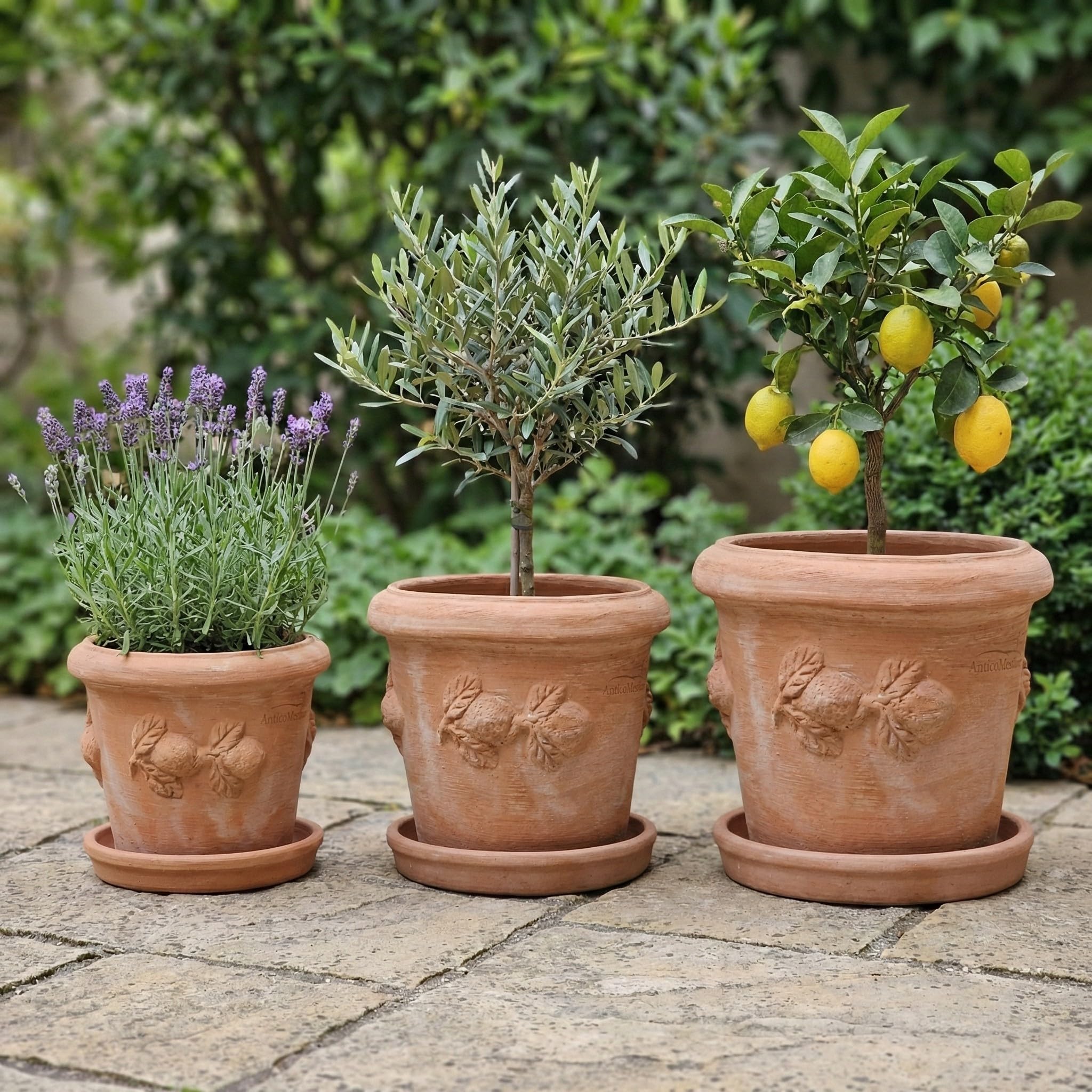Liscio Toscana Limoni Toscana Terracotta Flower Pot - Handmade in Italy -  25 cm - 40 cm - Absolutely Frost-proof - Italian Terracotta (Matching  Plate, 25 cm) : Amazon.com.be: Garden