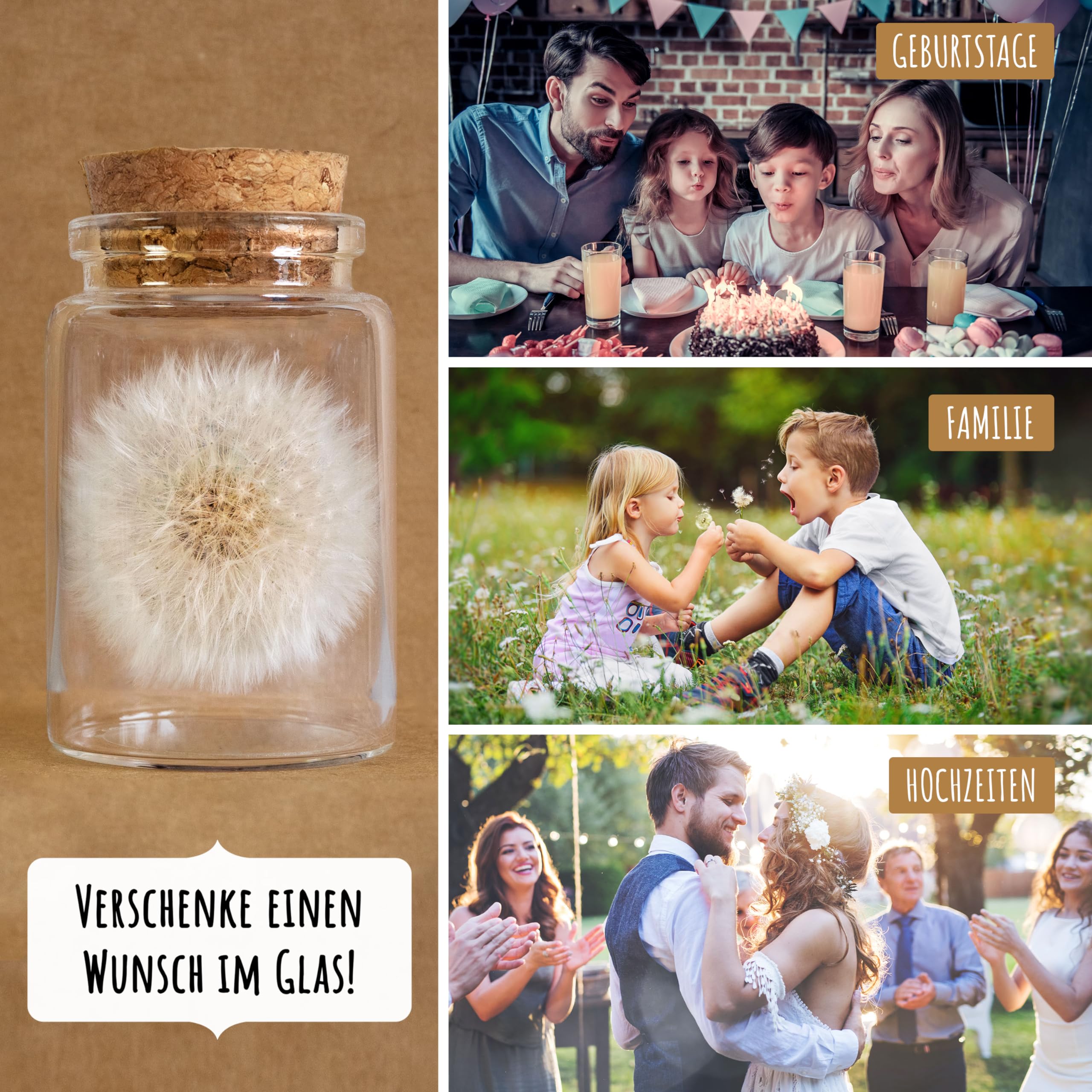 Bolson Wunscherfüller - 10x echte Pusteblume im Glas mit Geschenkbox - Wunschblume für deine Wünsche - handgefertigt in Deutschland - perfekte Geschenkidee für Geburtstag, Hochzeit, Abschluss