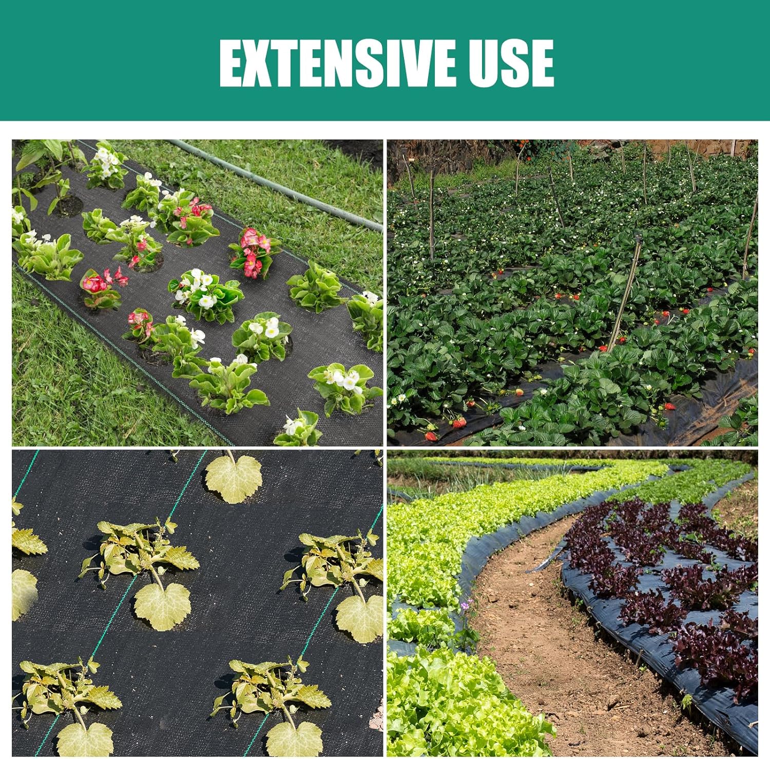 3FTx50FT Weed Barrier Landscape Fabric Heavy Duty with Planting Holes, Weed Block Gardening Ground Cover Mat, Weed Control Garden Barrier Weed Block Mat with 15 U-Shaped Securing Pegs+15 Gasket