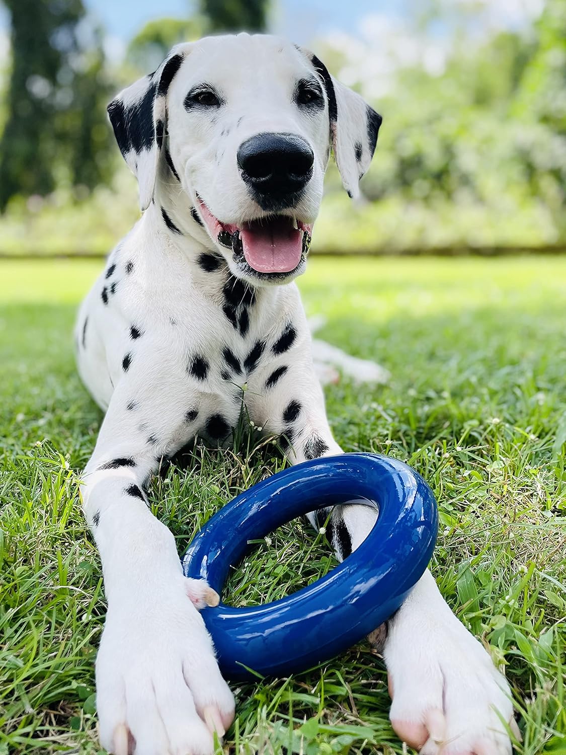 Diamond Plate Ball Tonka 3-Ring Tug Toy Durable Rubber Dog Toy
