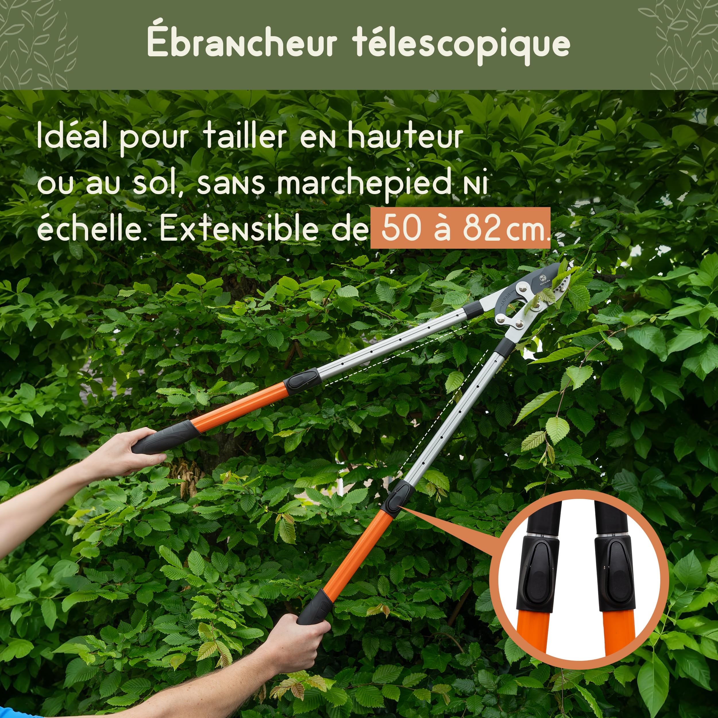 Sécateur télescopique, manche 50-82 cm, acier trempé, coupe branches >44 mm, sécateur réglable avec tête de couteau de requin
