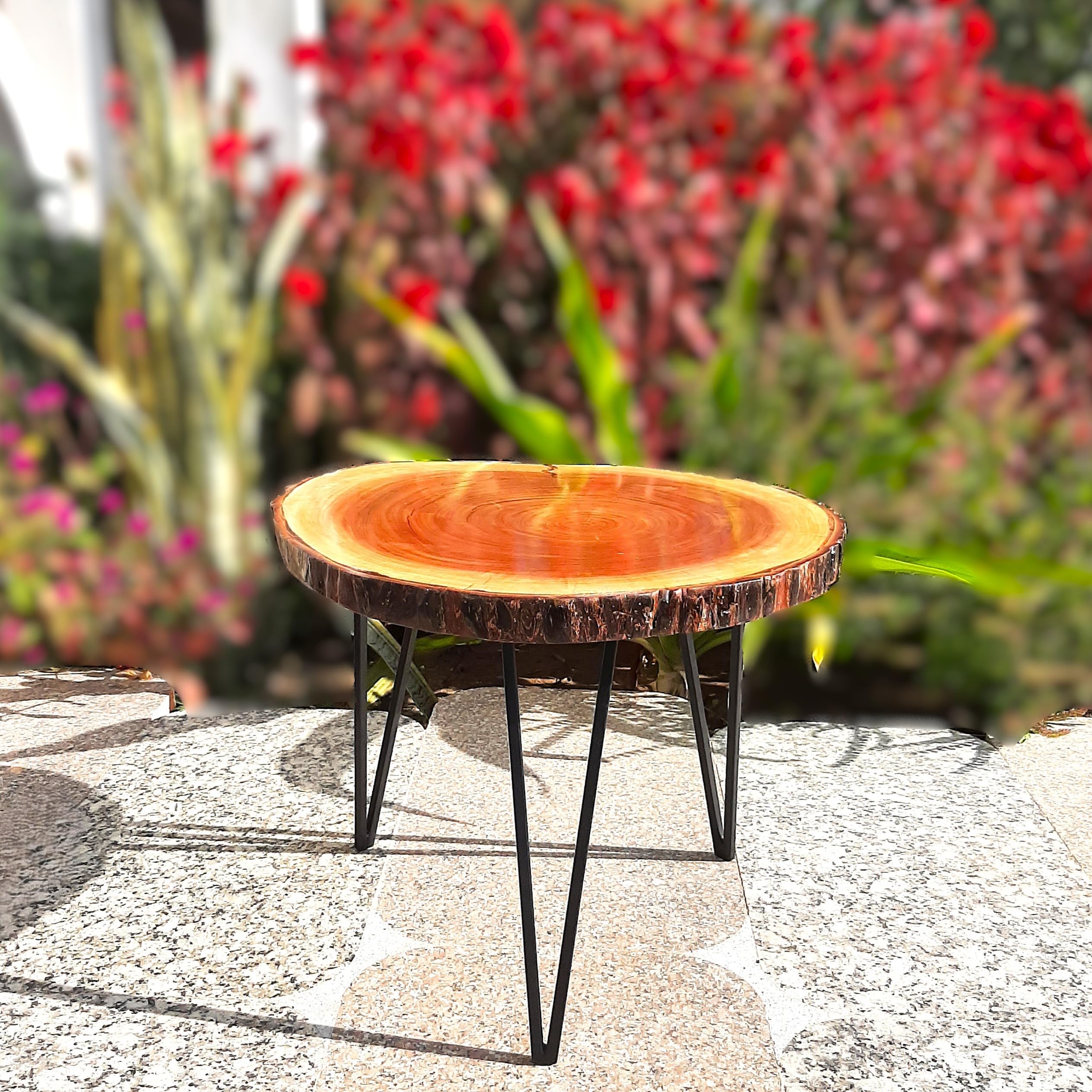 Lakshya India Live Edge Coffee Table, Natural Wood Slab Tea Table with Metal Hairpin Legs, Rustic Indoor Outdoor Accent Furniture 1