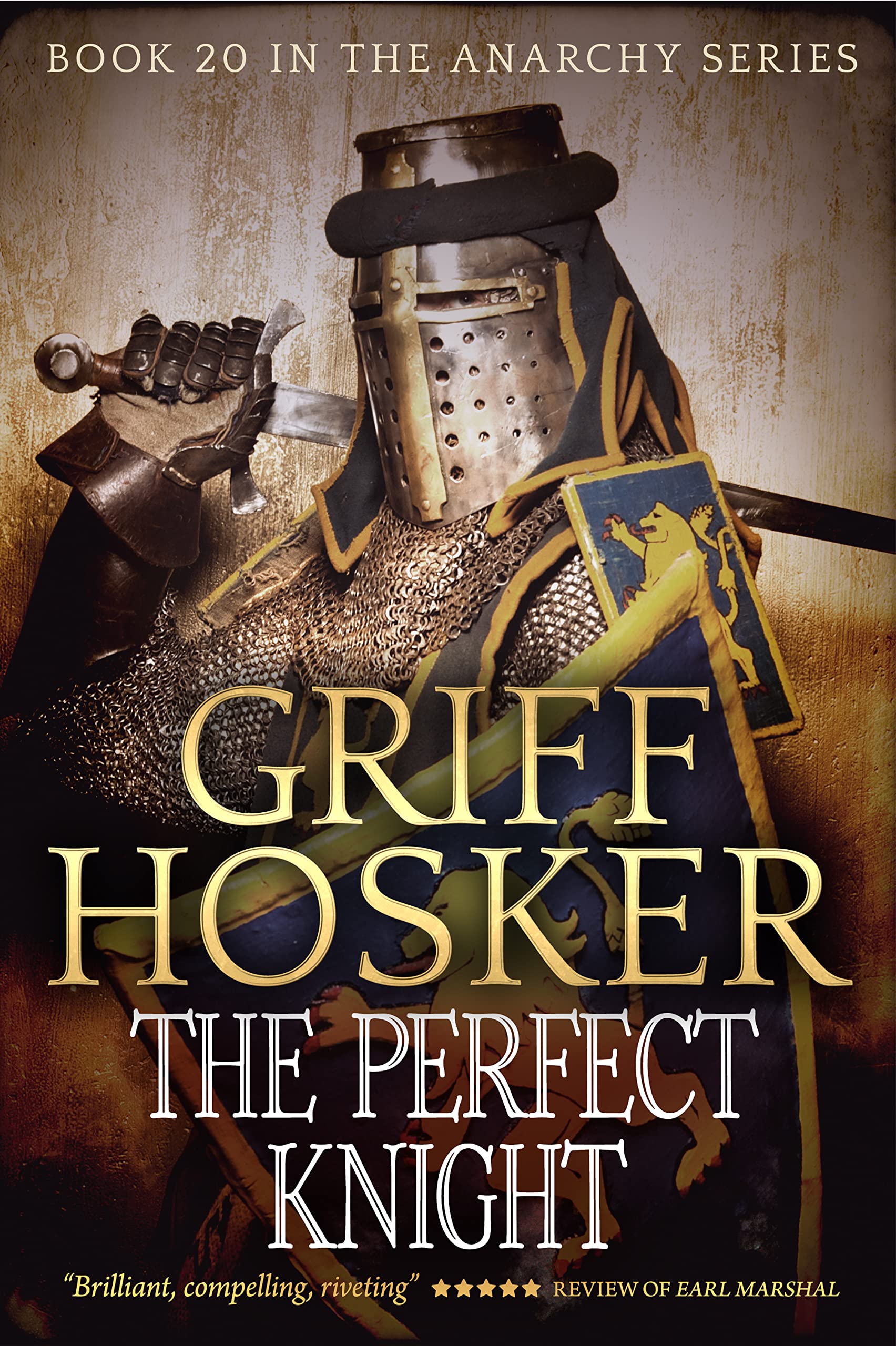 The Perfect Knight (The Anarchy Series Book 20)