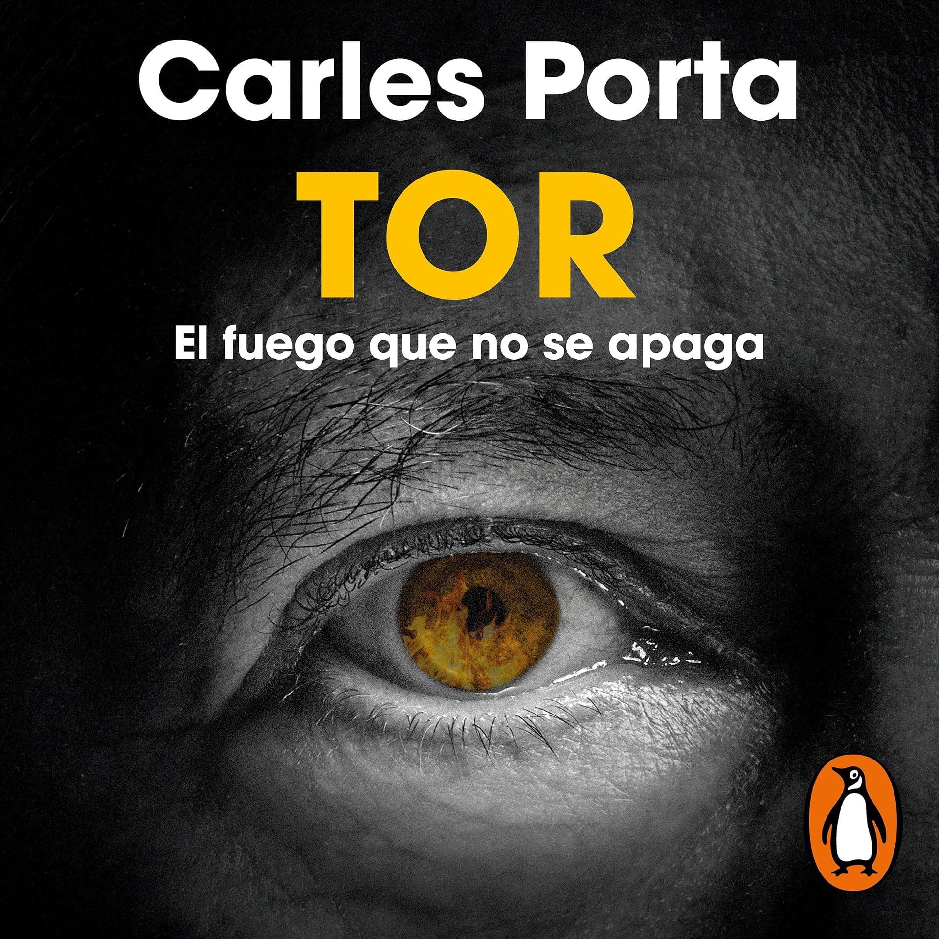 cover-image