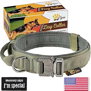 service dog e collar