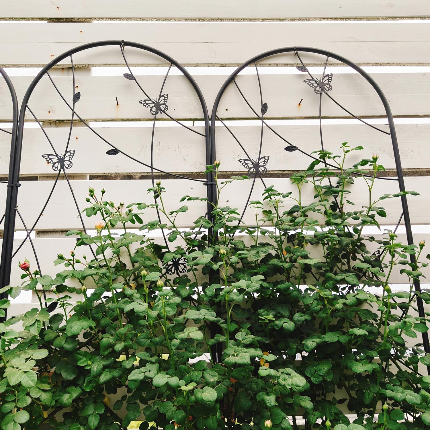 2-Pack Metal Garden Trellis for Climbing Plants Outdoor, 86.7" Tall Rustproof Galvanized Steel Trellis with Butterfly Decor, Easy Assemble Plant Support for Roses Vines Flowers