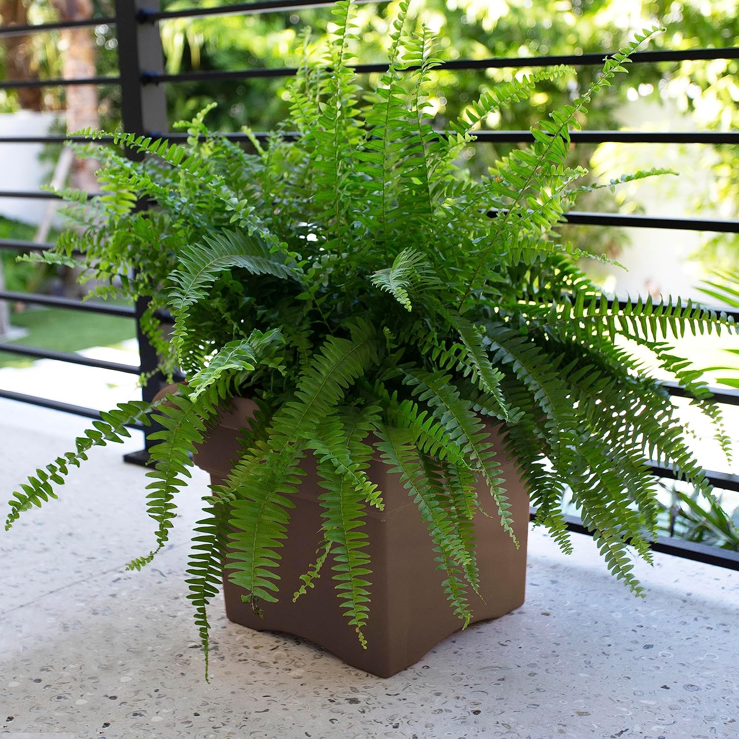Bloem Veranda Square Deck Box Planter: 18" - Chocolate Brown - Matte Finish, Weatherproof Plastic, Optional Drainage Holes, for Indoor and Outdoor Use, Gardening, 9 Gallon Capacity