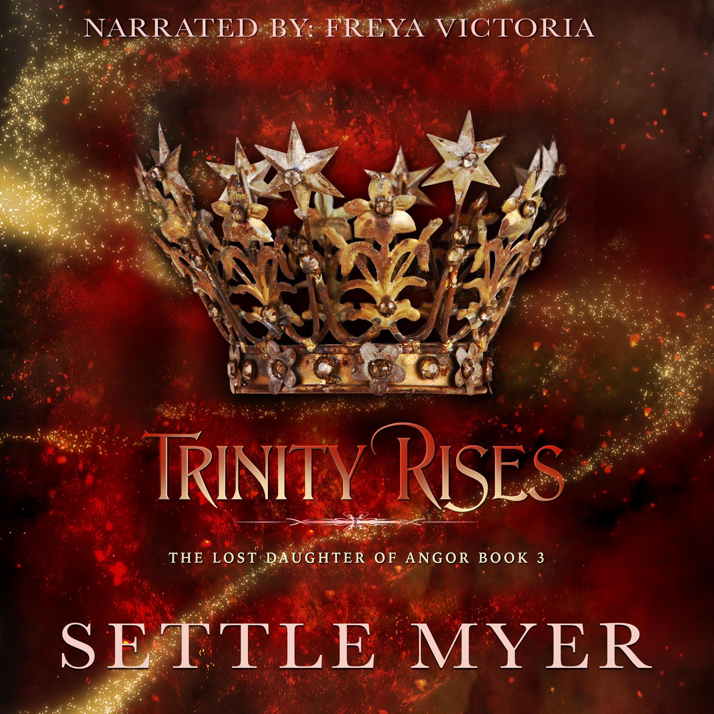 Cover art for Trinity Rises