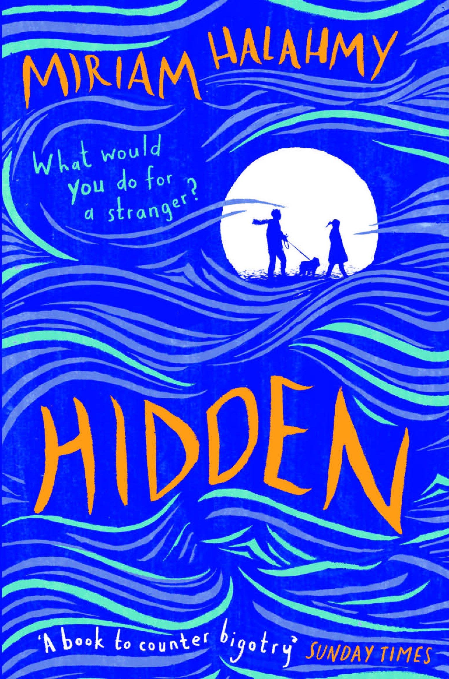 Hidden by Miriam Halahmy - 9781909991620