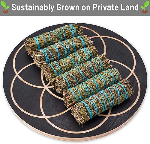 Miniatura 3 de Varitas para manchas de romero de 4 pulgadas  Varitas de salvia de romero  Kit de salvia a granel al por mayor  Salvia Blanca para Limpiar  Salvia