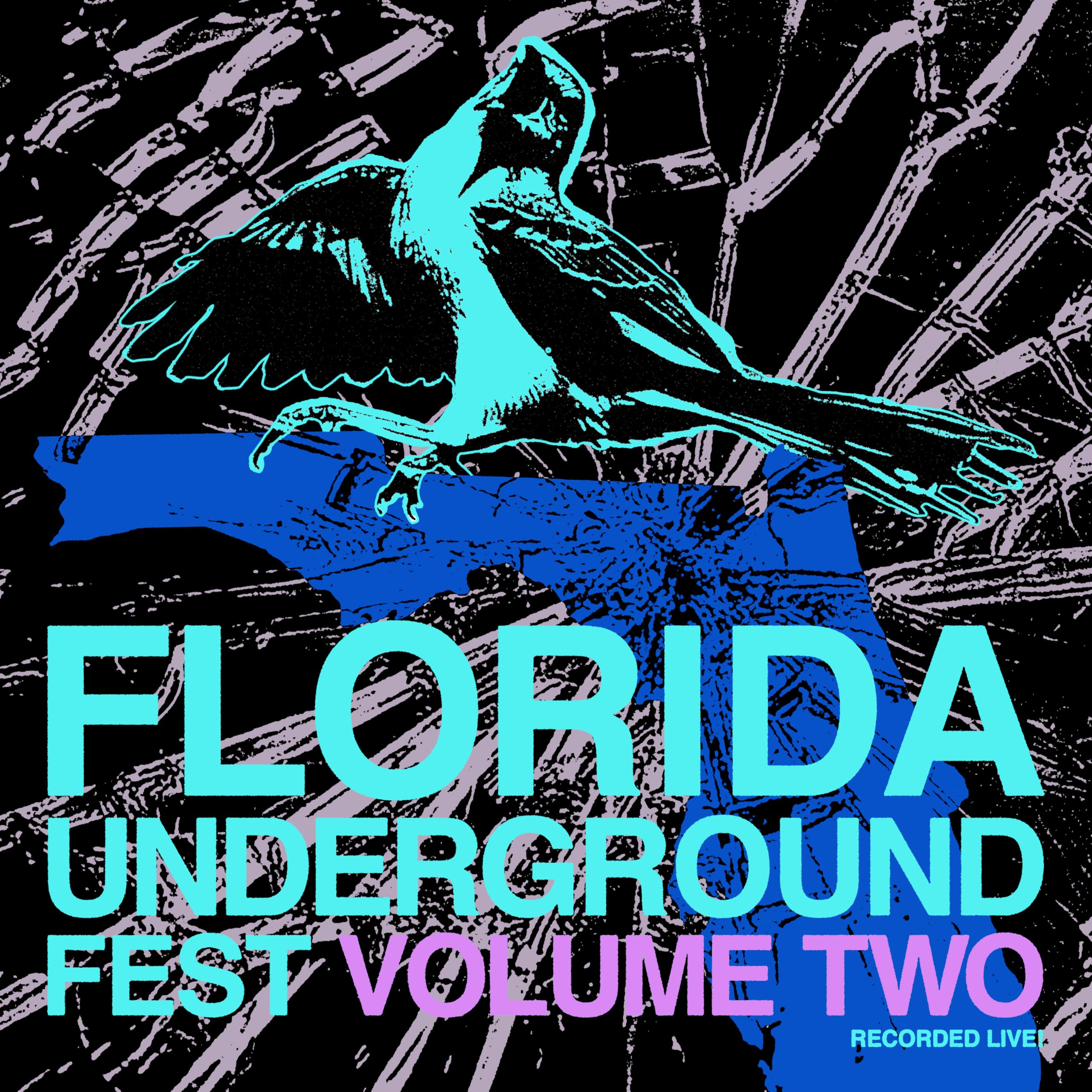 FLORIDA UNDERGROUND FEST VOL. 2 [VINYL]