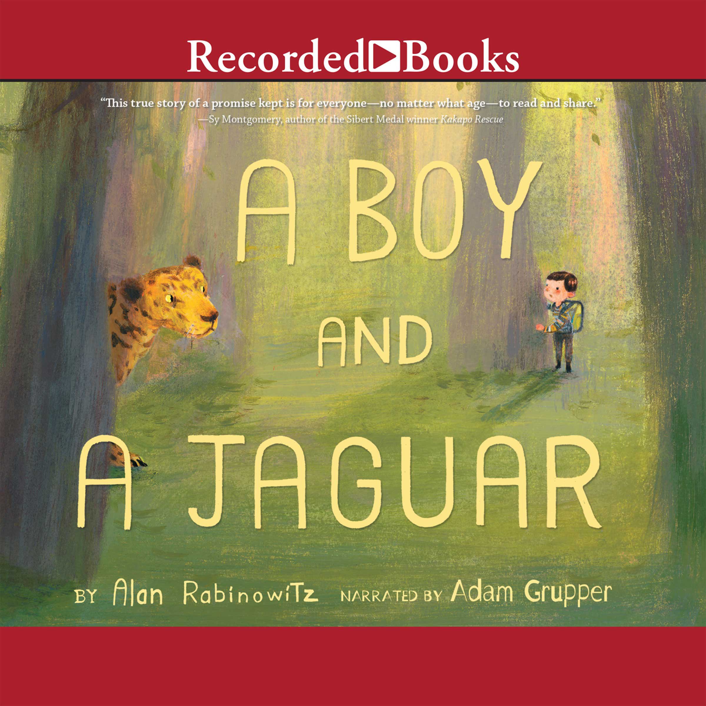 Cover art for A Boy and a Jaguar