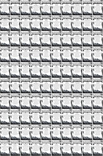 Miniatura 3 de 100 paquetes de semillas, 50 variedades Bóveda de semillas definitiva para la seguridad alimentaria en el hogar y jardines abundantes de B&KM Farms