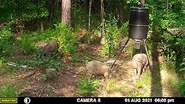 Review Image by Eric V
