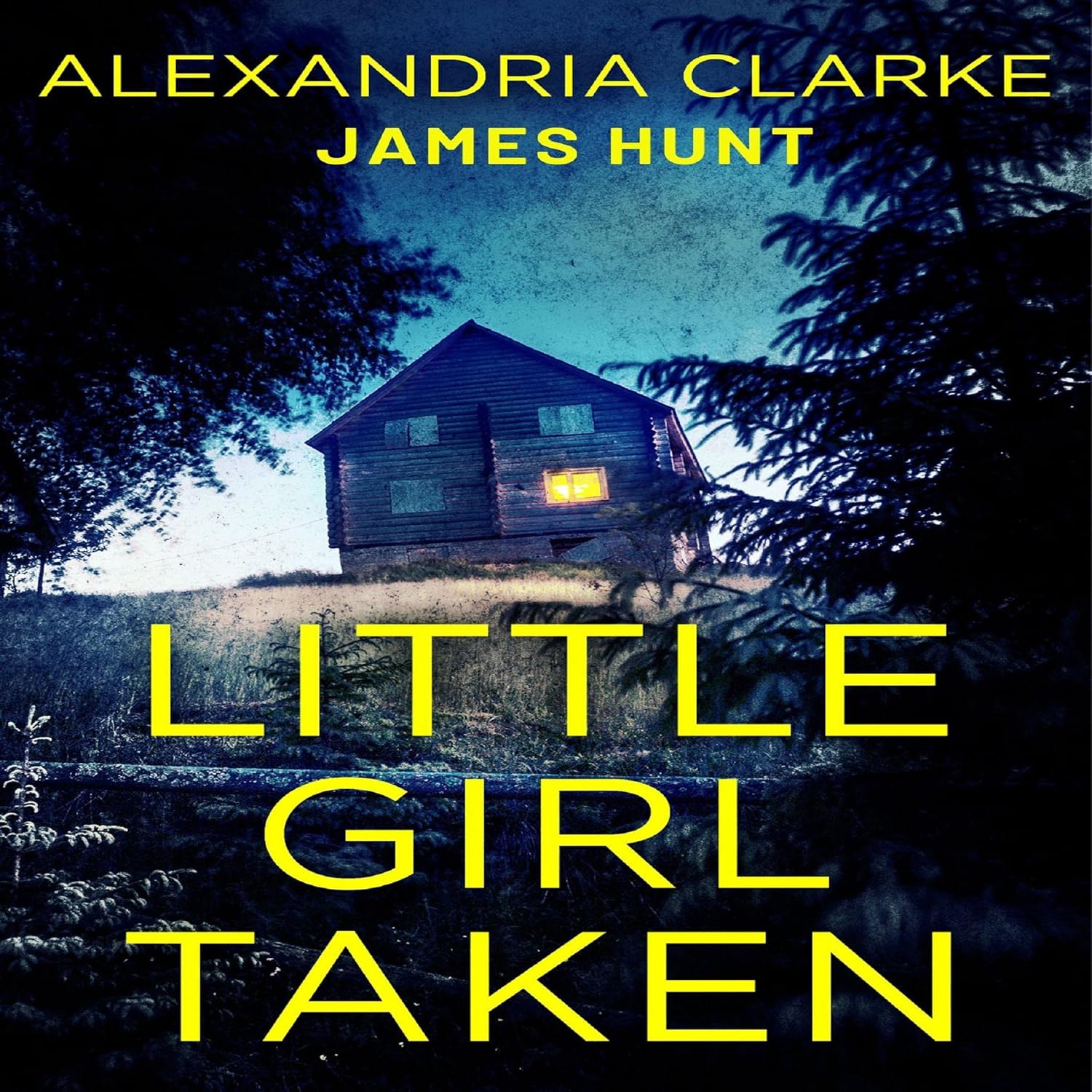 Amazon.com: Little Girl Taken Boxset: A Riveting Kidnapping Mystery ...