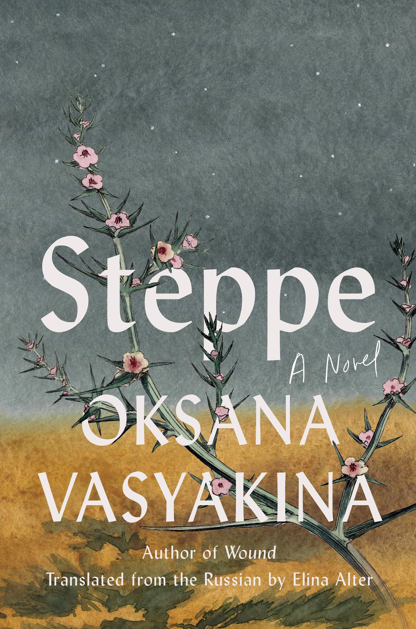 Steppe by Oksana Vasyakina - 9781646223077