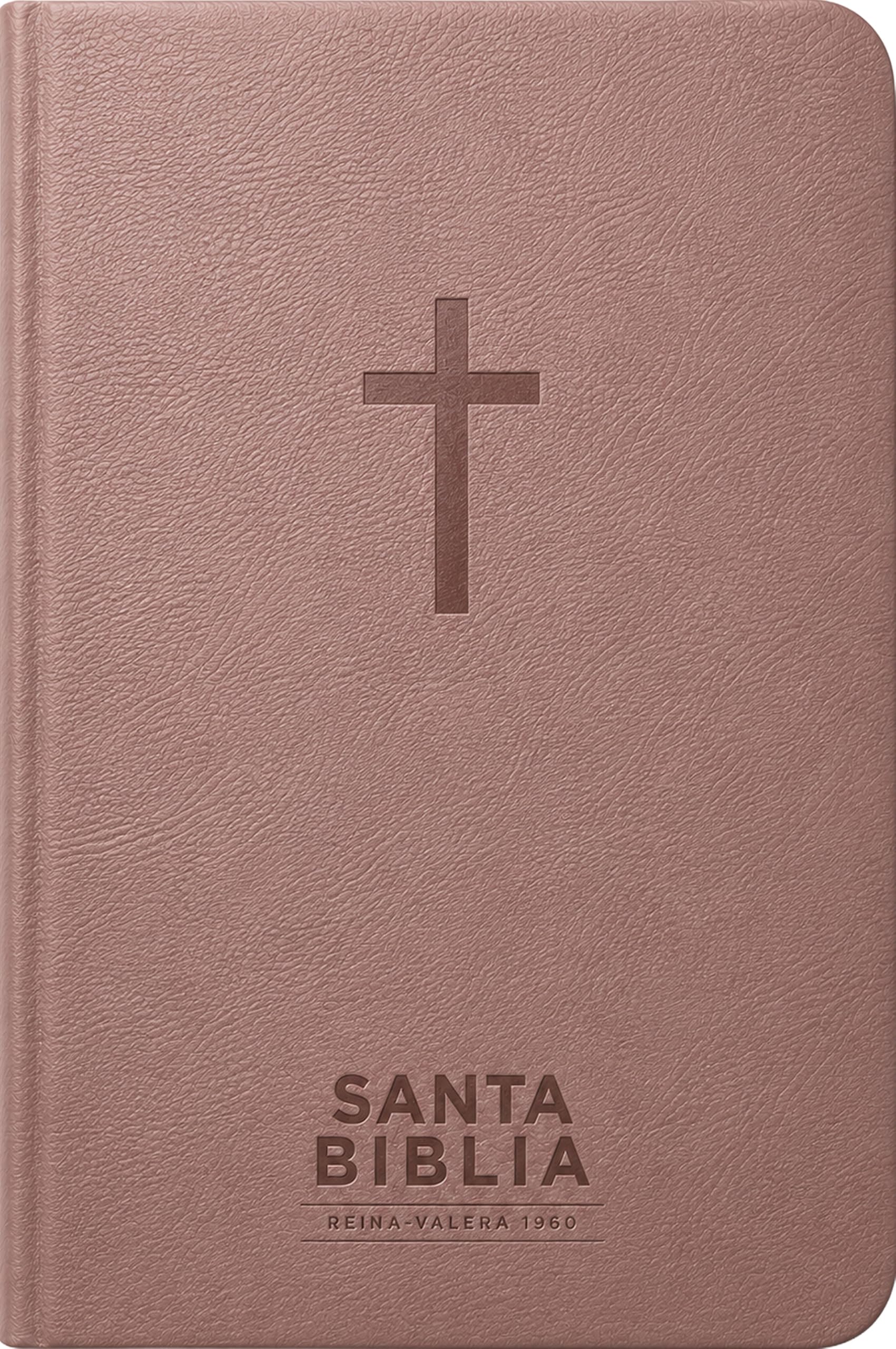 Santa Biblia Reina-Valera 1960 - Visual con mapas mentales (SentiPiel, Rosa, Letra Roja)
