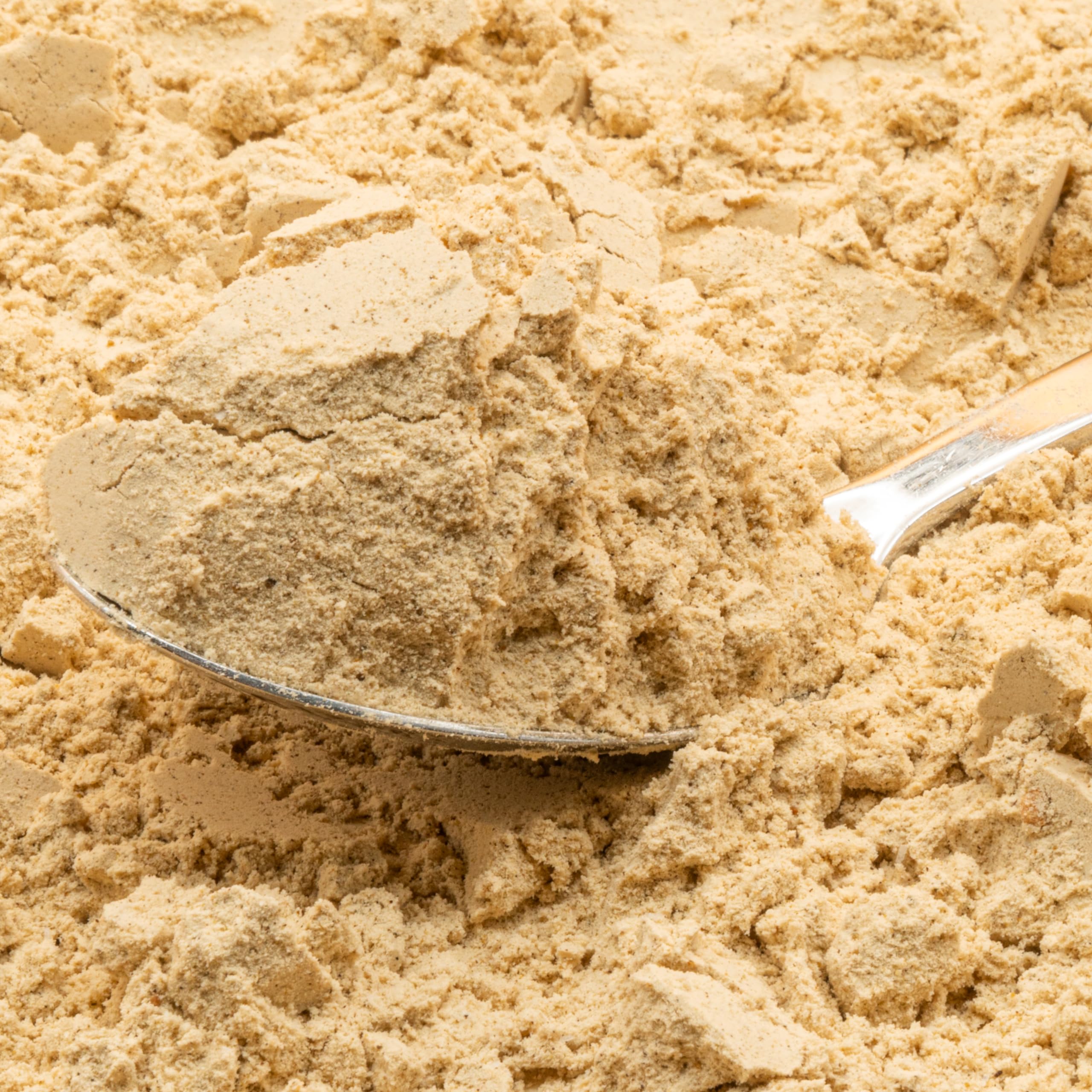BIO Protein vegan | Walnuss | DE-ÖKO-006 | 10 pflanzliche Proteinquellen | Ohne Süßungsmittel | Ohne Soja & Gluten | Premiumqualität vom Bodensee | Made in Germany (1000g, Walnuss)