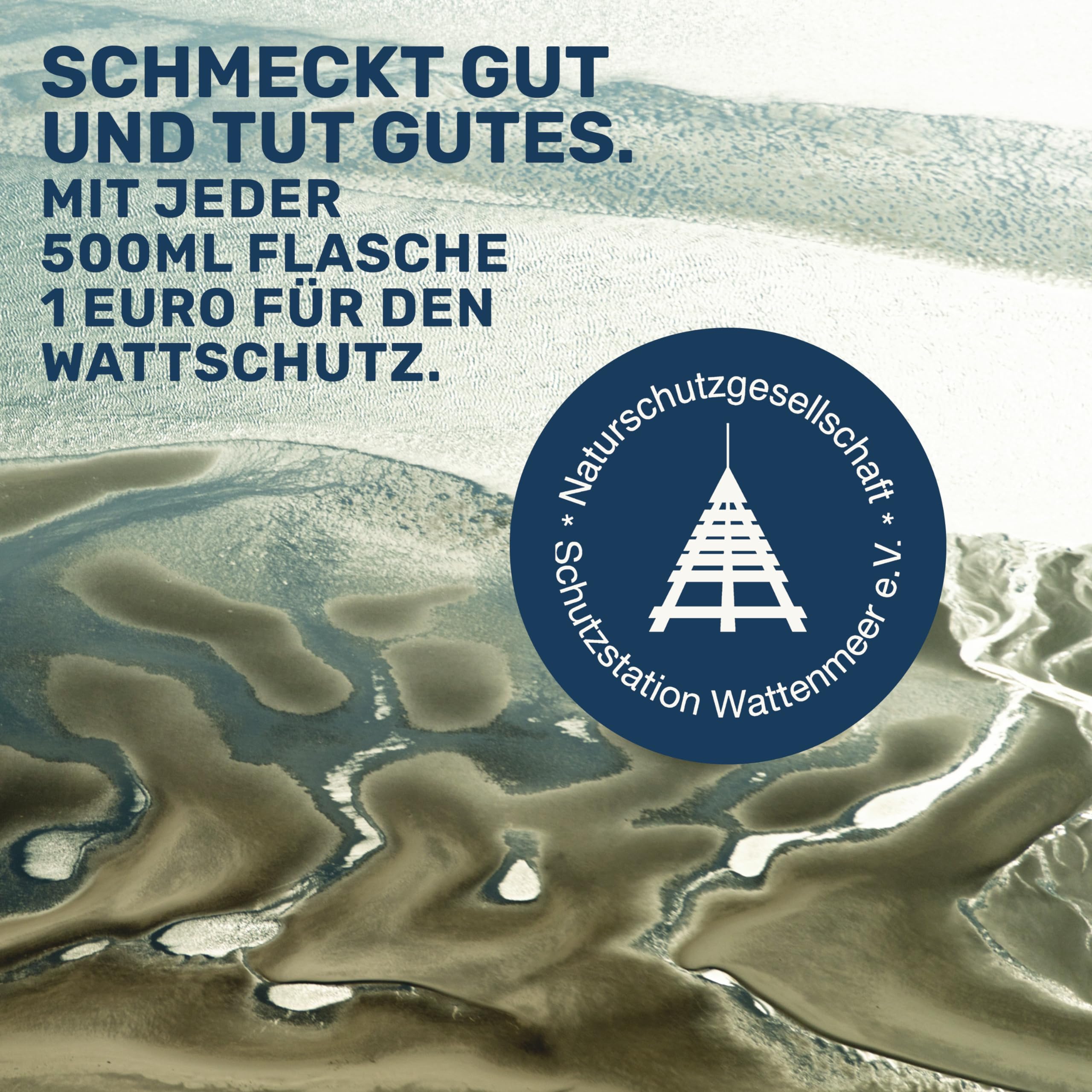 NORDSEEGUT WATT`N GIN 0.5L - Nordsee Premium Dry Gin 42% Vol. I vegan mit handverlesenen Zutaten wie Hagebutte, Lavendel und fruchtiger Orange, Salzwiesen, Wattenmeer