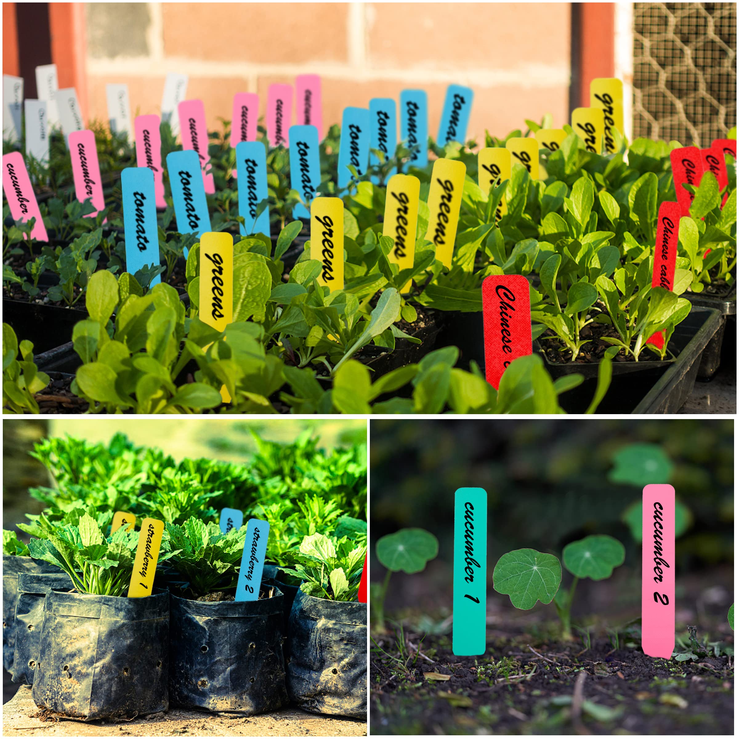 Etichette per piante, 300 pezzi, 10,2 cm, in plastica, per piantine, etichette da giardino, etichette per piante da vivaio, etichette per semi, etichette per piante da giardino all'aperto, paletti